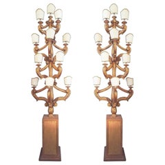 19th Century Italian Pair of Gilt Poplar Wood Eleven-Light Candelabra