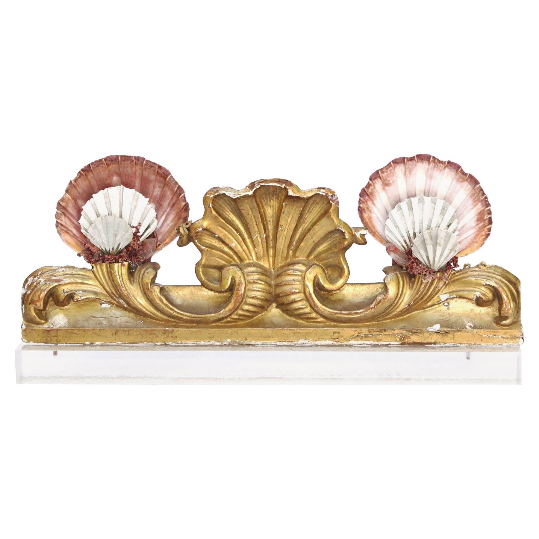 19th Century Italian Peditment Fragment with Pectin Shells and Crystal on Lucite For Sale