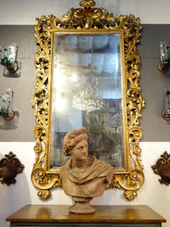 Early 20th Century Italian Renaissance Style Impruneta Terracotta Apollo Bust