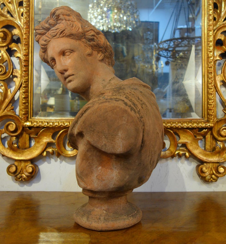 Early 20th Century Italian Renaissance Style Terracotta