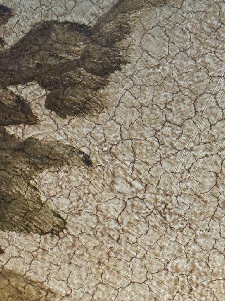 Pittura di uccelli su tela di scuola italiana del XIX secolo in vendita 5