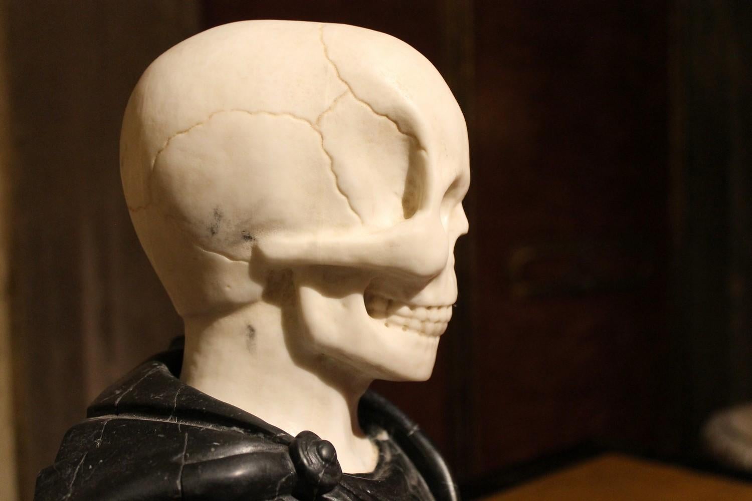 19th Century Italian Sculpture White Carrara Skull, Black Marquina Marble Bust 8