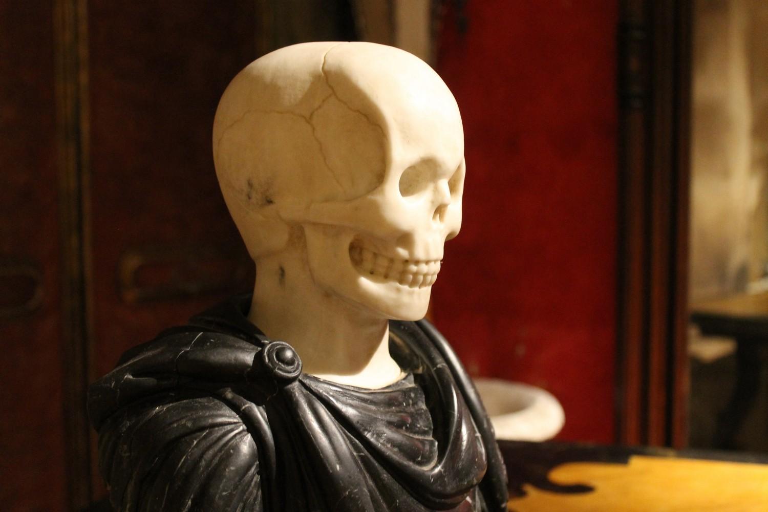 19th Century Italian Sculpture White Carrara Skull, Black Marquina Marble Bust In Good Condition In Firenze, IT