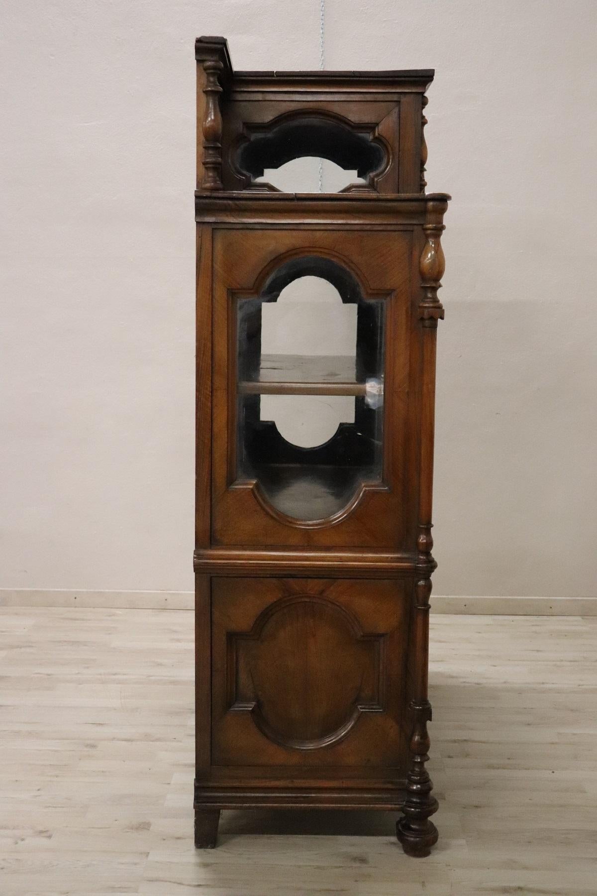 19th Century Italian Solid Walnut Antique Cabinet or Vitrine 2