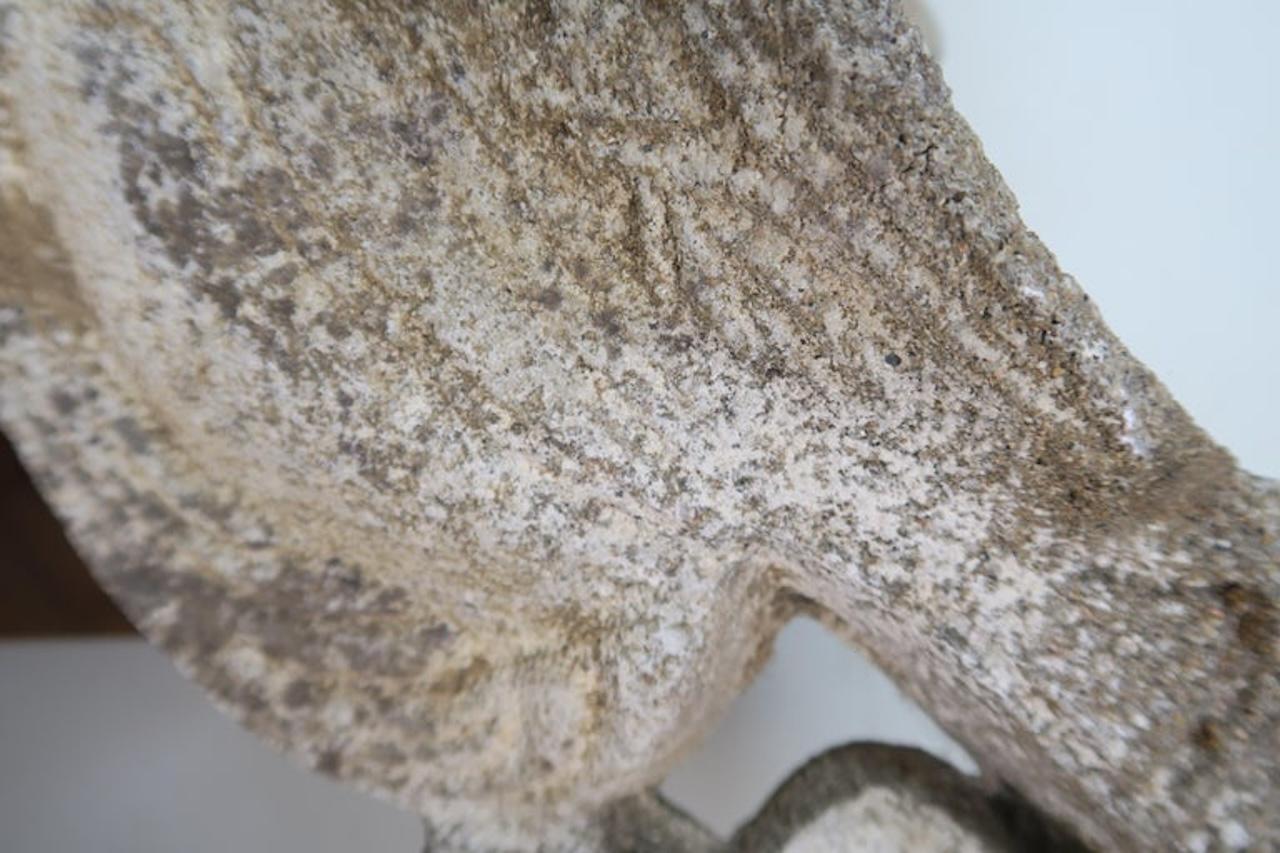 Jardinera italiana de piedra del siglo XIX en venta 3
