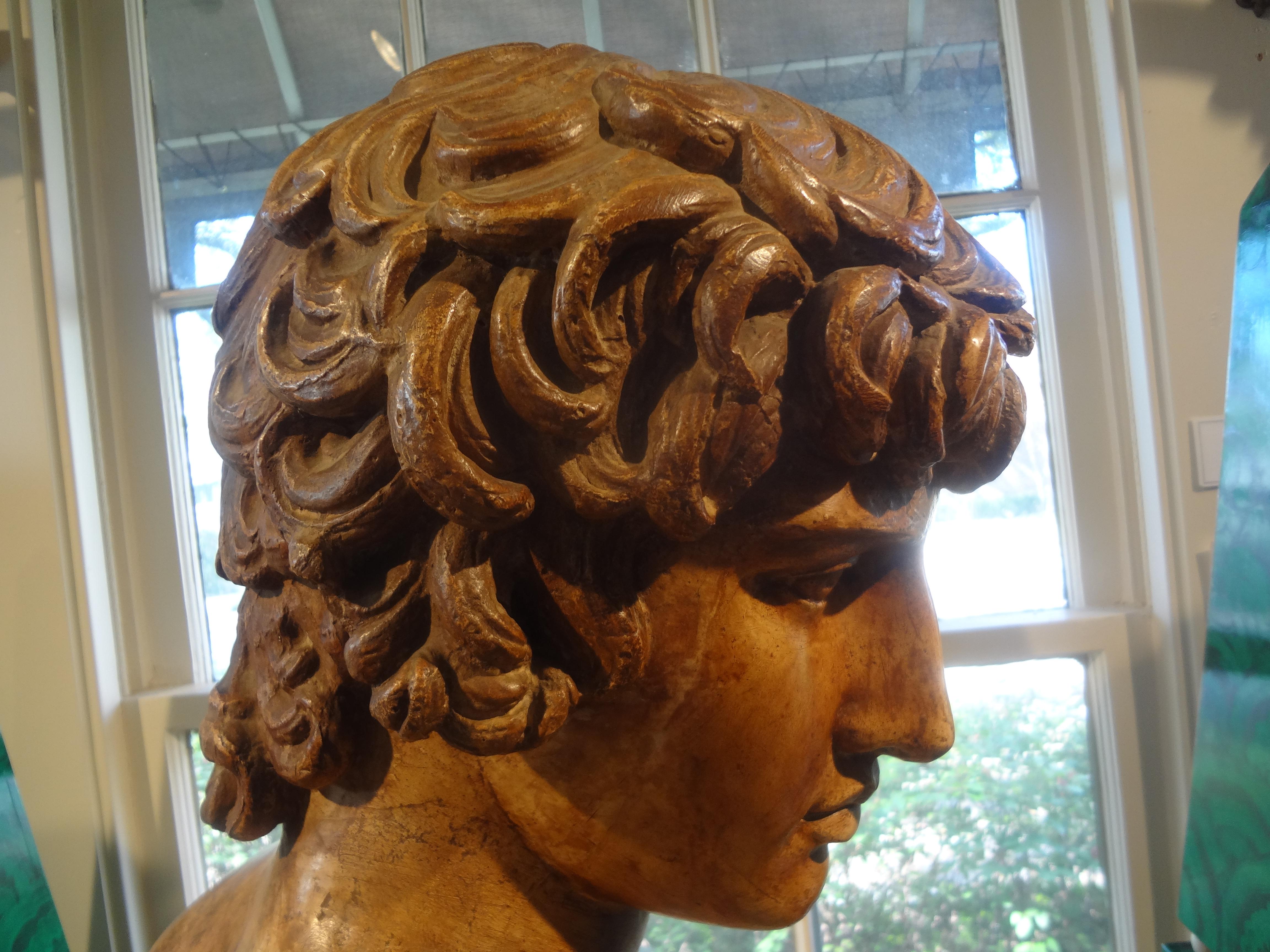 19th Century Italian Terracotta Bust of a Classical Male For Sale 6