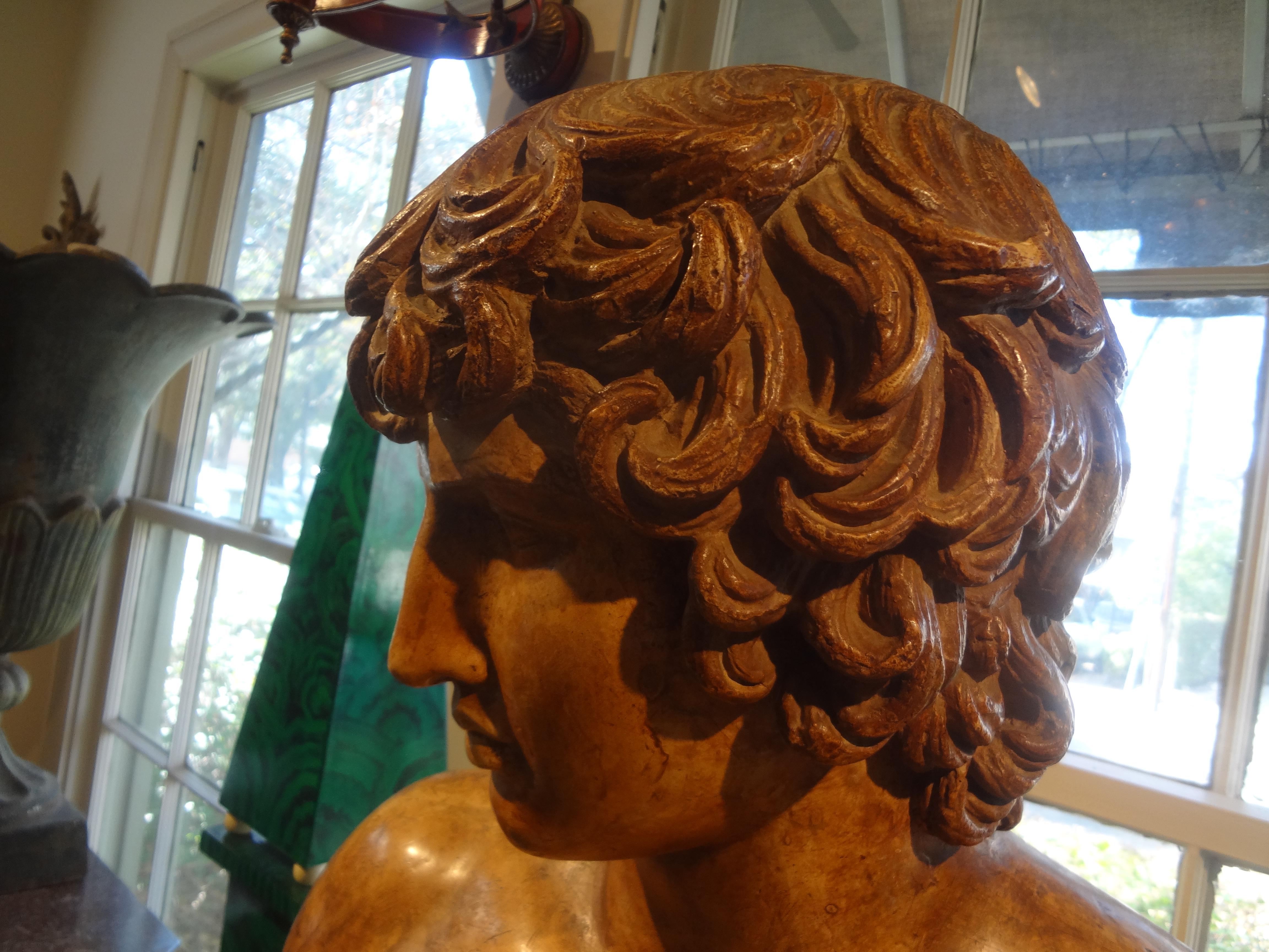 Buste d'homme classique en terre cuite italienne du 19e siècle en vente 5