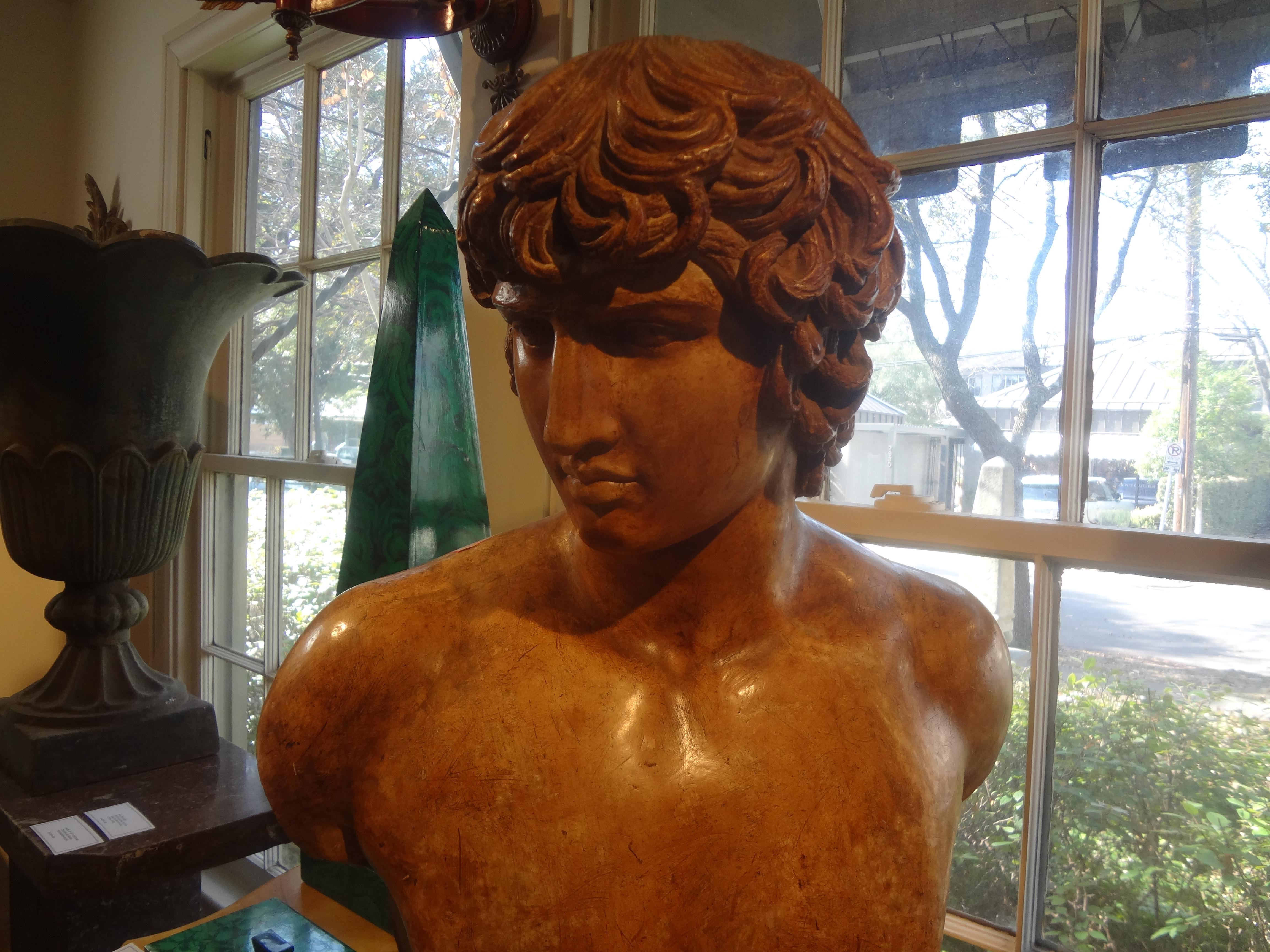 19th Century Italian Terracotta Bust of a Classical Male For Sale 2