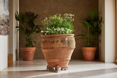 19th Century Italian Terracotta Planter