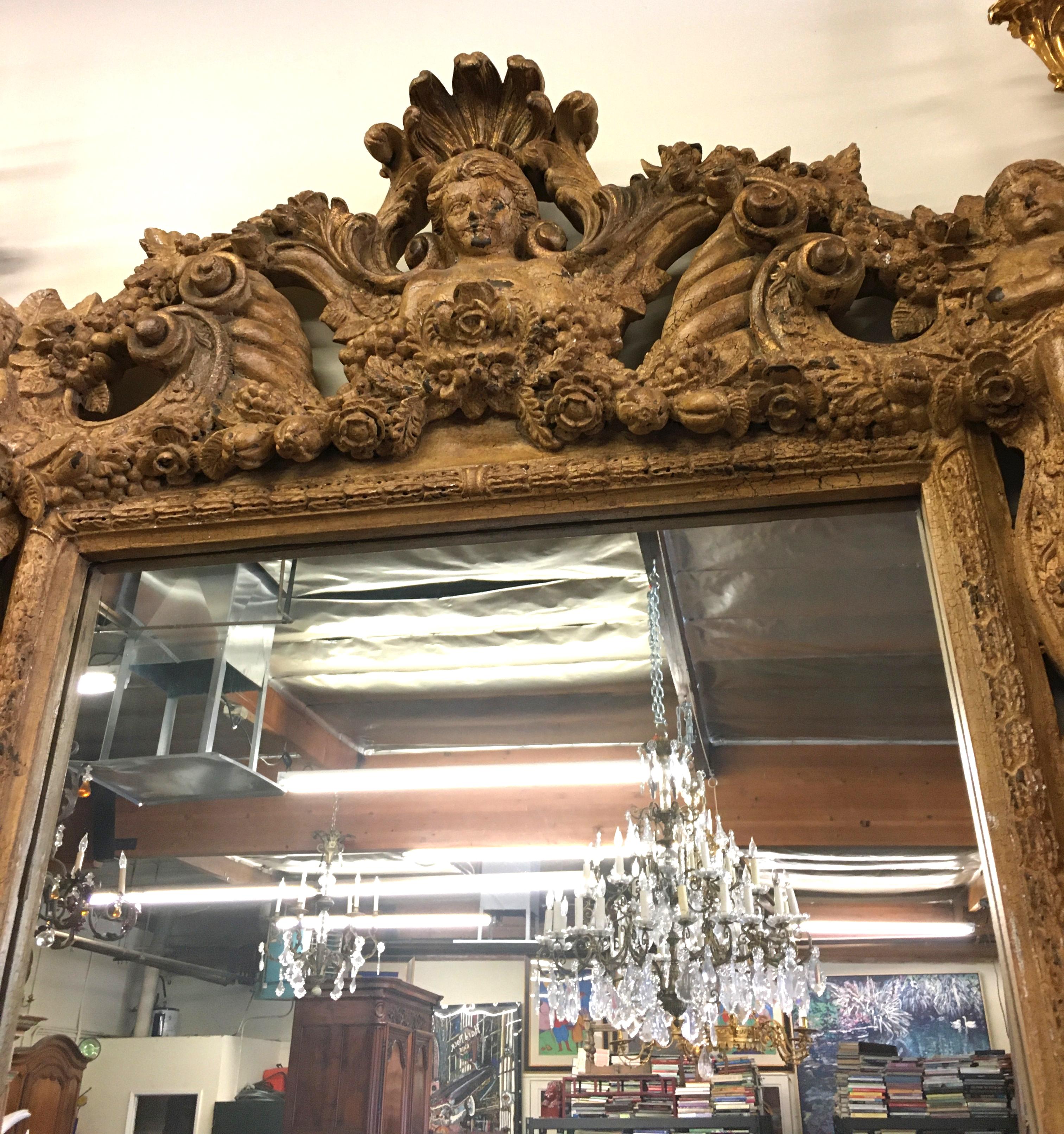 This magnificent Italian 19th century three dimensionally carved mirror has sitting puttis at the right and left sides at the top with a coquille in the center with a putti holding flowers. The perimeter of the mirror has carved fruit and acanthus