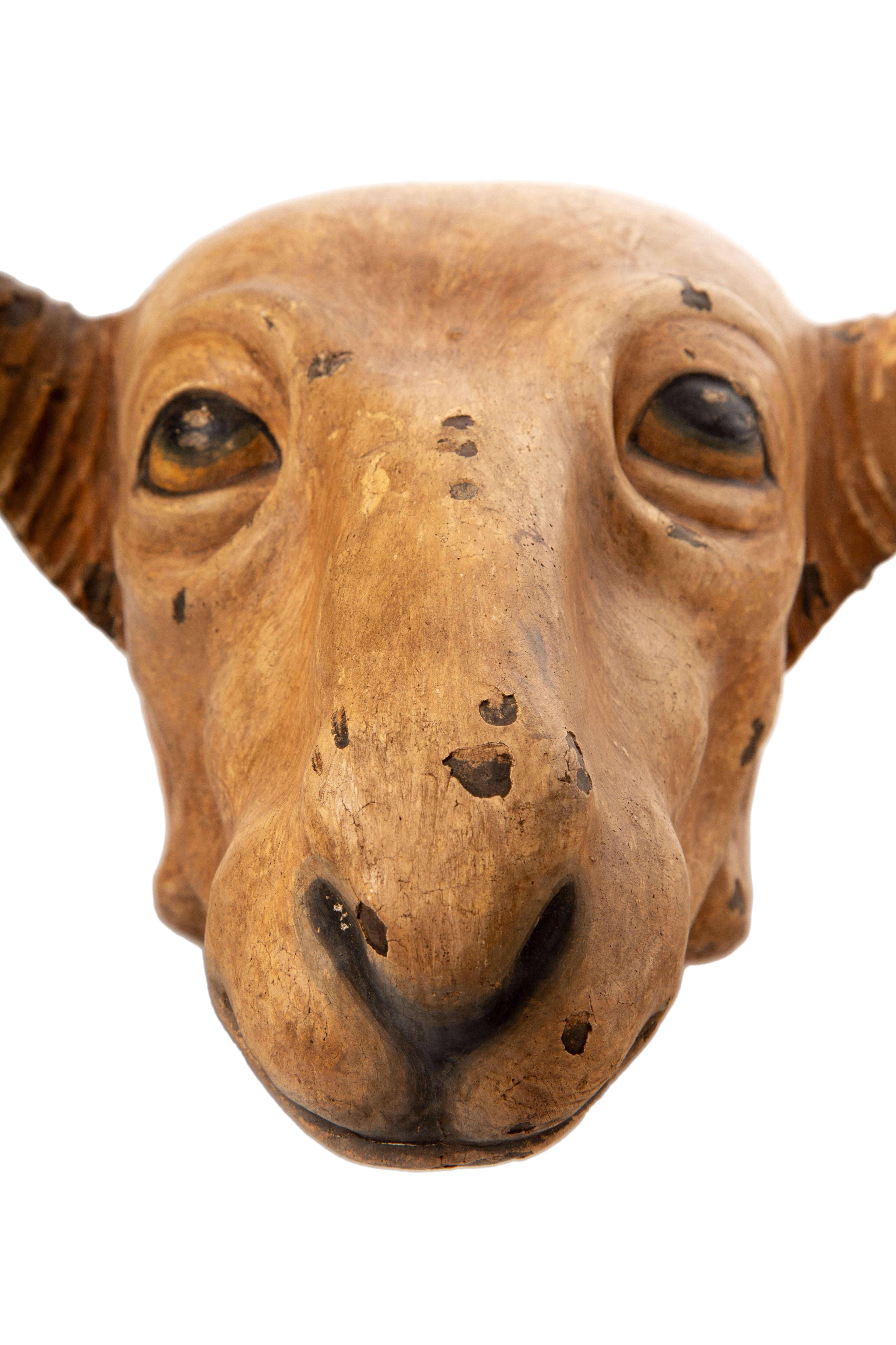 Scultura in legno italiana del XIX secolo raffigurante la testa di un ariete - Devi vedere questo ariete! in vendita 1
