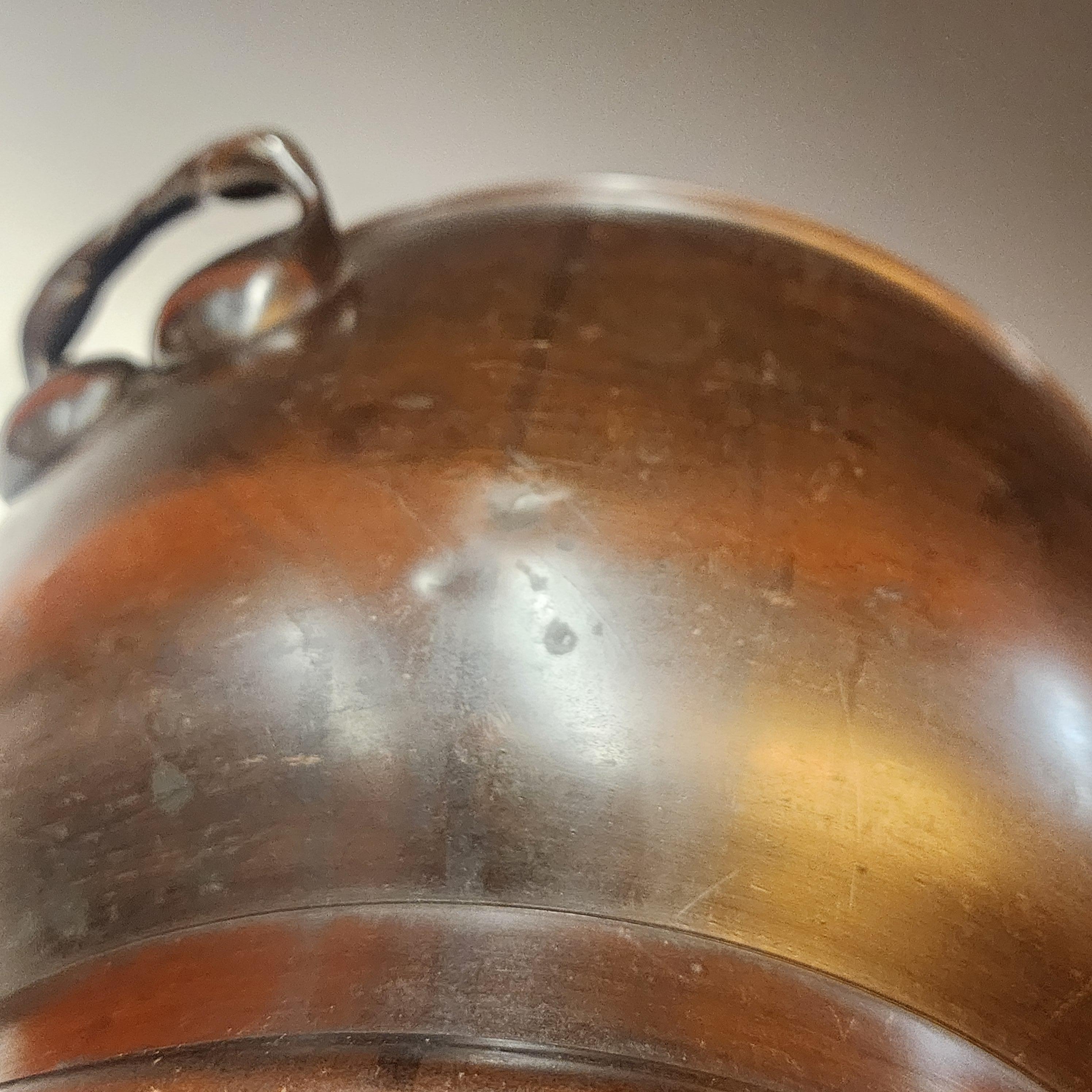 19th century Japanese Bronze Hibachi or cache pot For Sale 3