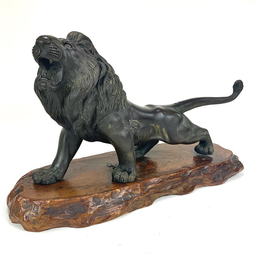 Dieser männliche Löwe aus Bronze aus dem 19. Jahrhundert ist in sehr gutem Zustand. Keine nennenswerten Schäden am Löwen oder seinem lackierten Holzsockel. Das linke Glasauge des Löwen fehlt. Das Gelenk, an dem der Schwanz auf den Körper trifft, ist