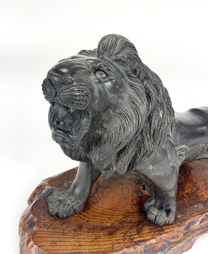 19th Century Japanese Bronze Lion Meiji Period on Wood Base Signed In Good Condition For Sale In Hampstead, QC