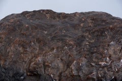19th Century Japanese Burl Wood Bowl Ne-bachi Kibachi