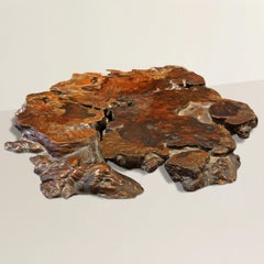 19th Century Japanese Burl Wood Dai