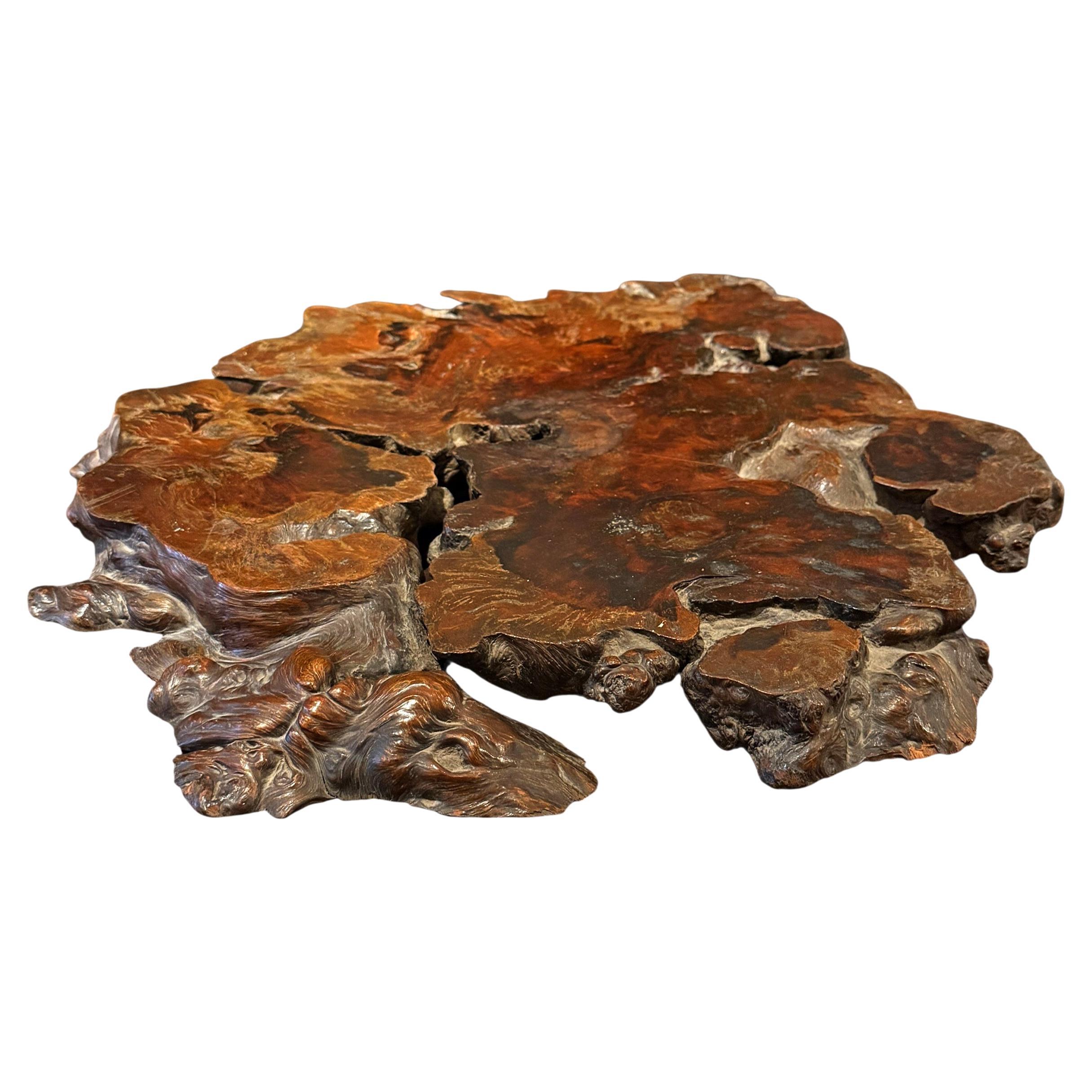 Wood Dai giapponese di radica del XIX secolo