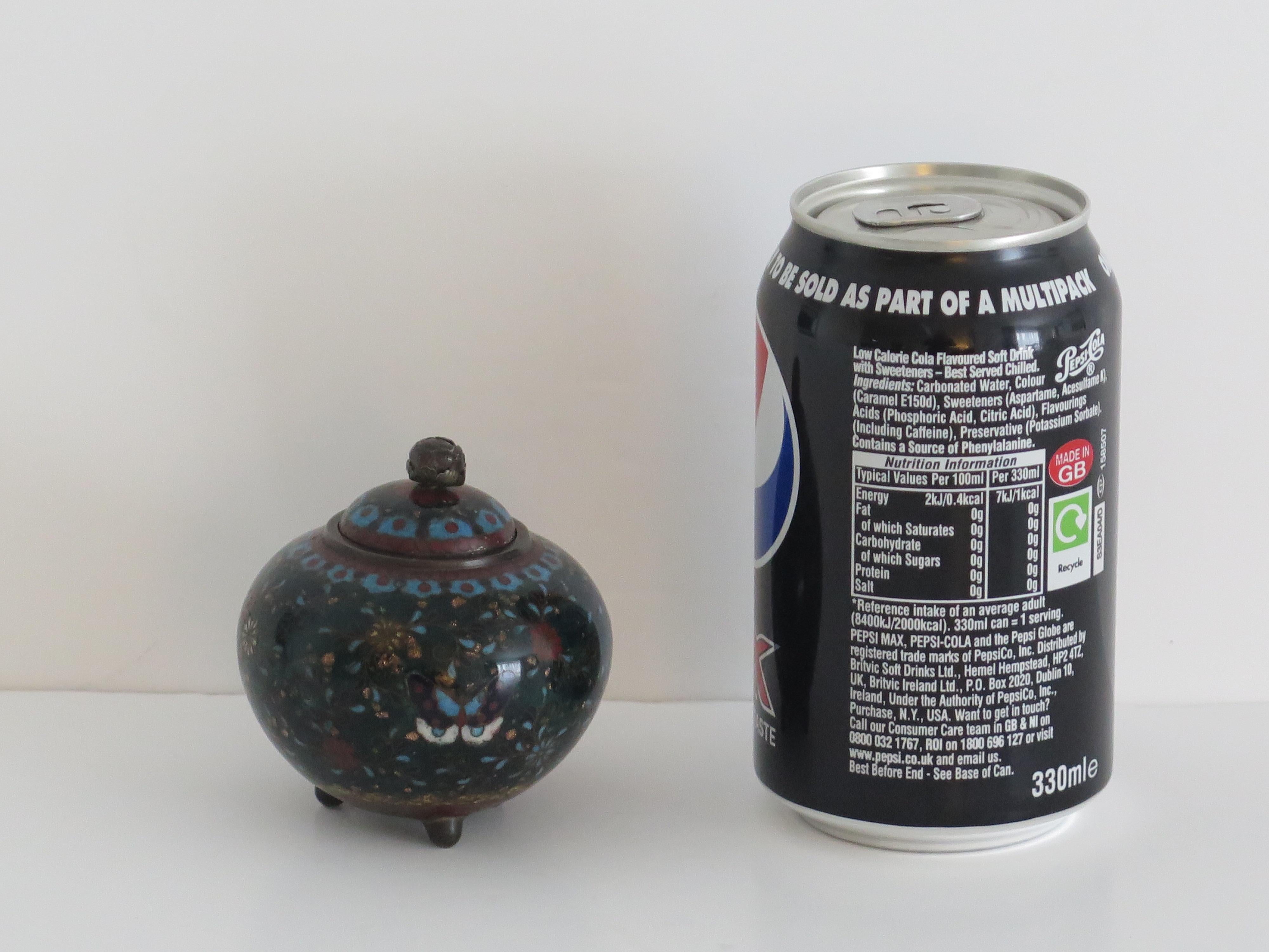 19th Century Japanese Cloisonné Small Lidded Jar, Early Meiji Period  For Sale 12