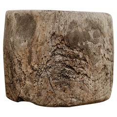 19th Century Japanese Dugout Treetrunk Planter/Jardinière