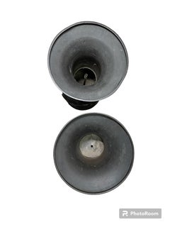 19th Century Japanese Pair of Bronze Urn Vases