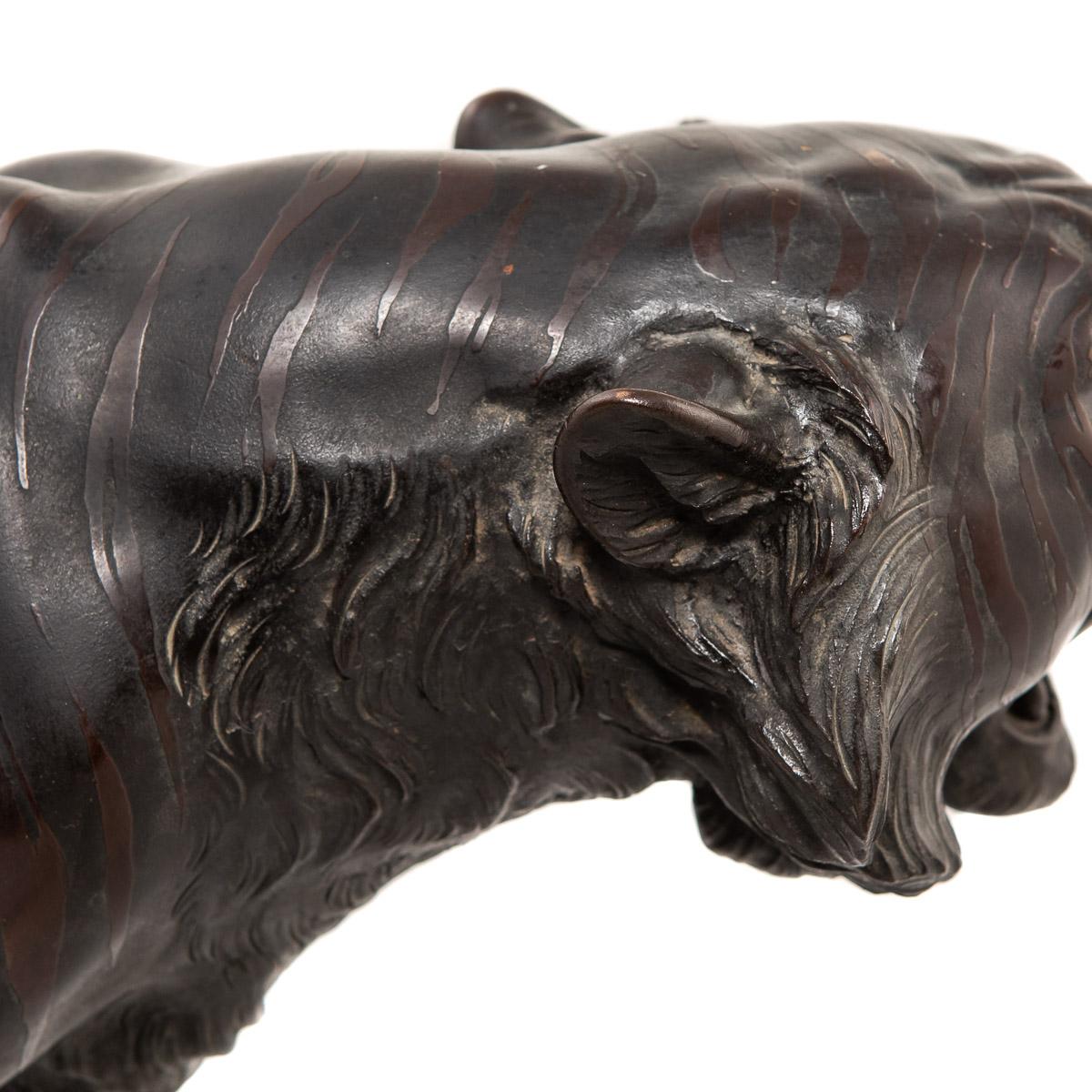 19th Century Japanese Patinated Bronze Model of a Tiger, Morimitsu, circa 1890 6