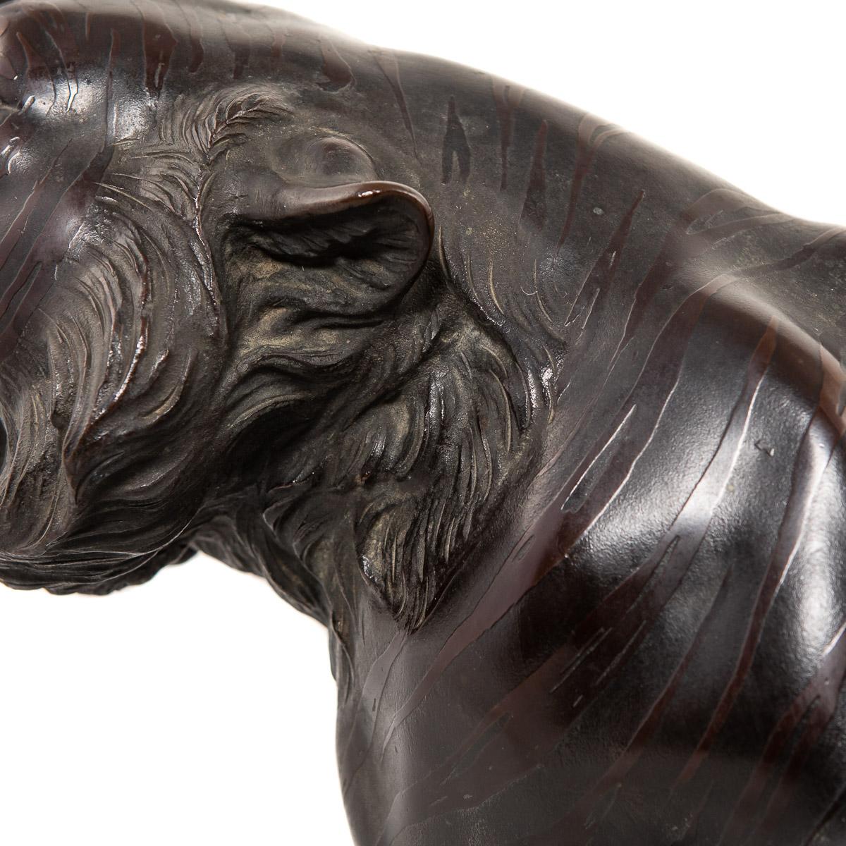19th Century Japanese Patinated Bronze Model of a Tiger, Morimitsu, circa 1890 5