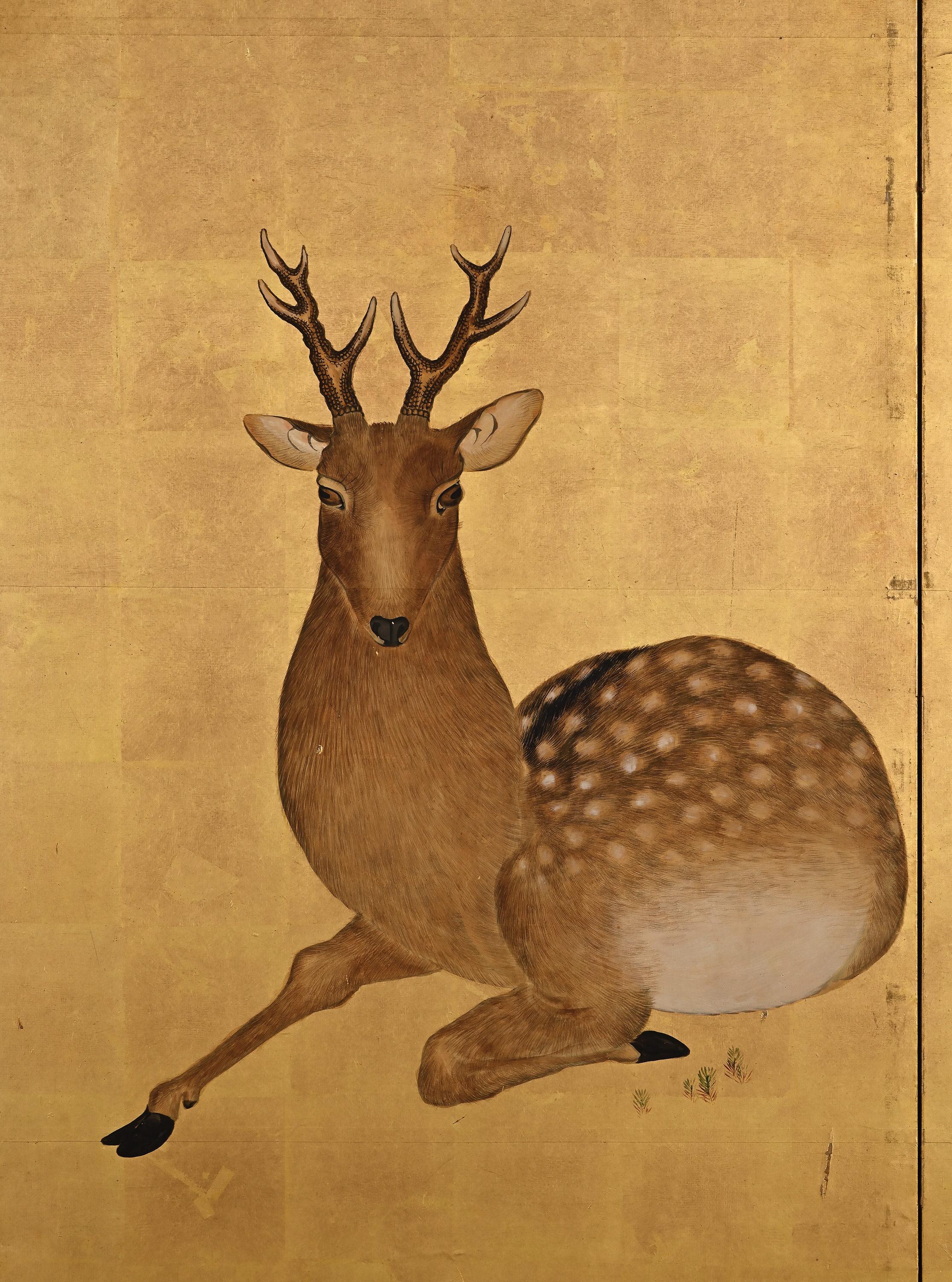 A six-panel Japanese folding screen from the leading Maruyama-Shijo artist Okamoto Toyohiko (1773-1845). Simply featuring three deer and a few sprigs of foliage on a sumptuous gold-leaf background this work emphasizes naturalistic expression and a