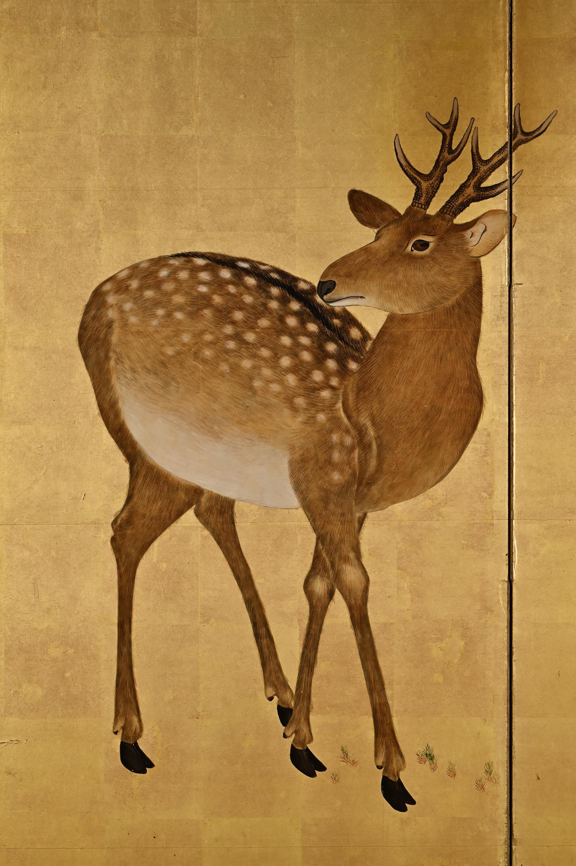 Edo 19th Century Japanese Screen, Deer in Spring, Maruyama Shijo School For Sale