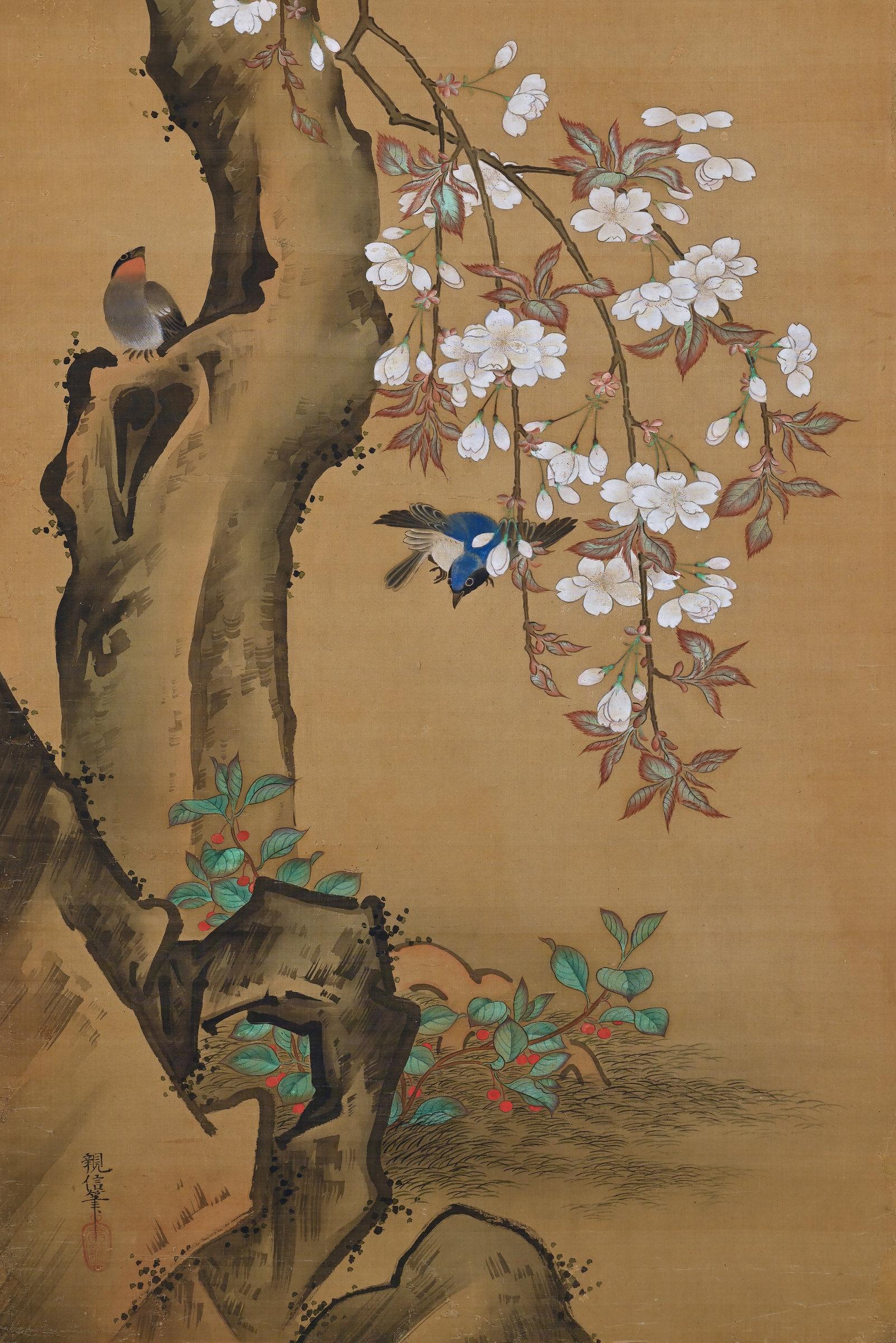 Japanisches Seidengemälde des 19. Jahrhunderts von Kano Chikanobu, Kirschblüte und Vögel (Edo) im Angebot