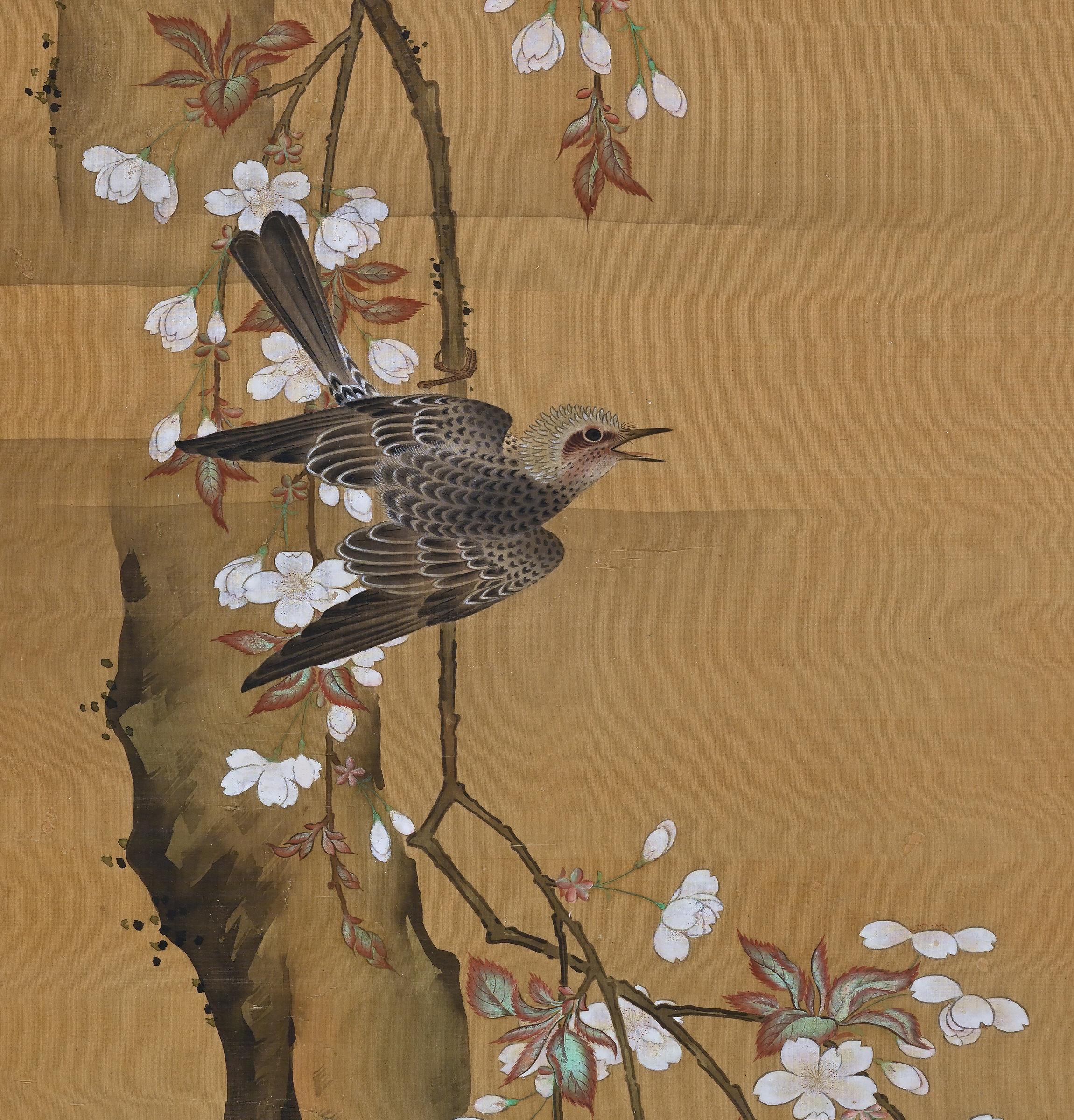 Japanisches Seidengemälde des 19. Jahrhunderts von Kano Chikanobu, Kirschblüte und Vögel (Asiatisch) im Angebot