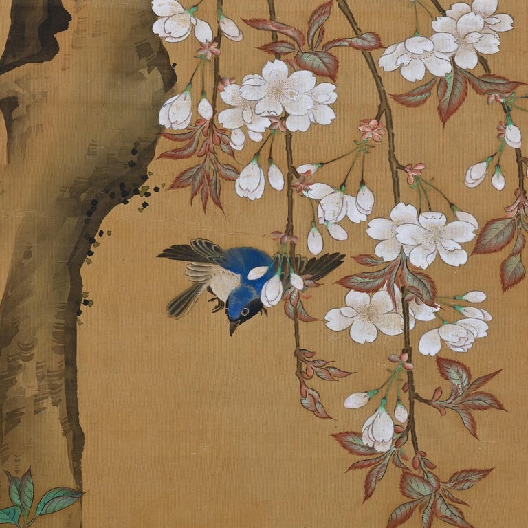19th Century Japanese Silk Painting by Kano Chikanobu, Cherry Blossom