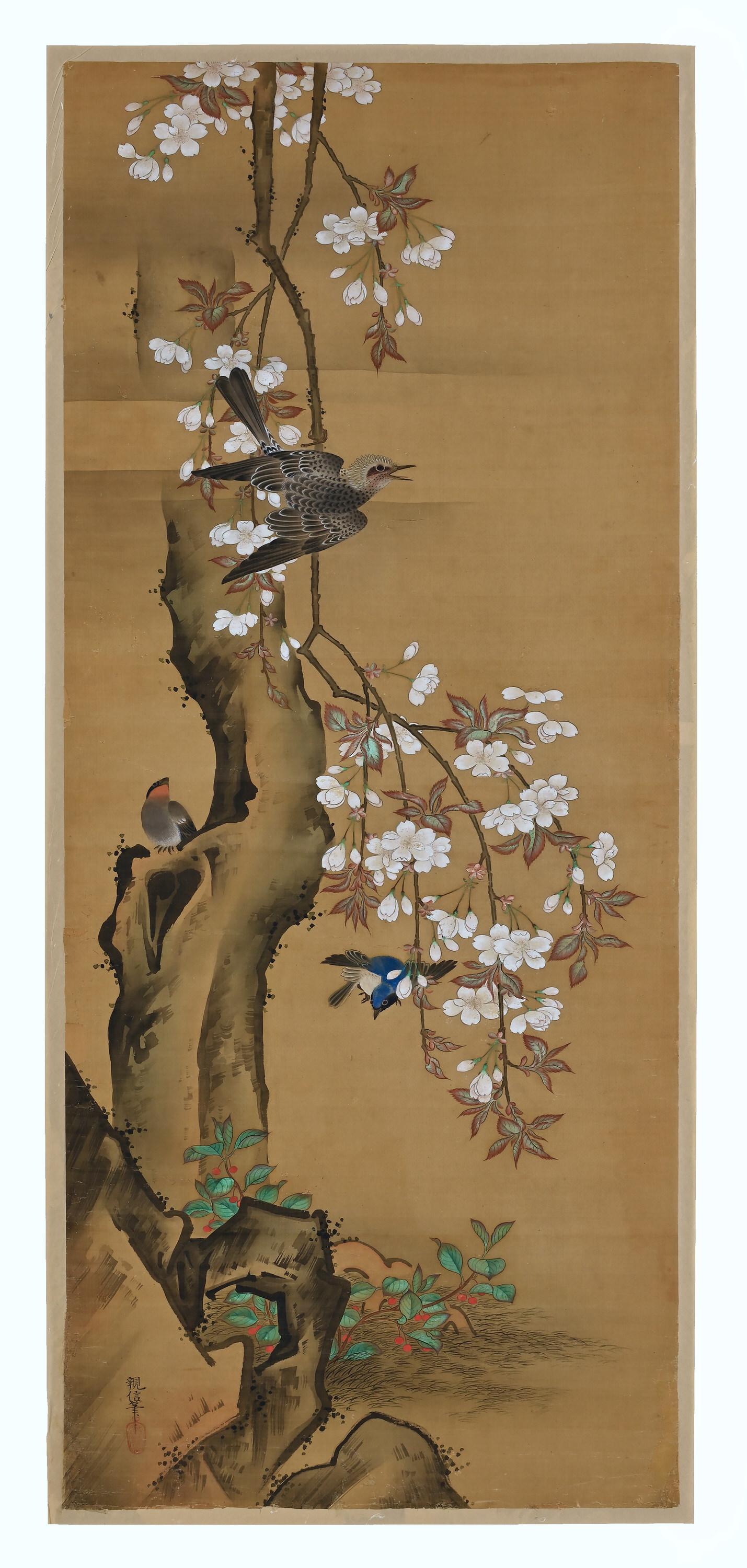 Asian 19th Century Japanese Silk Painting by Kano Chikanobu, Cherry Blossom & Birds