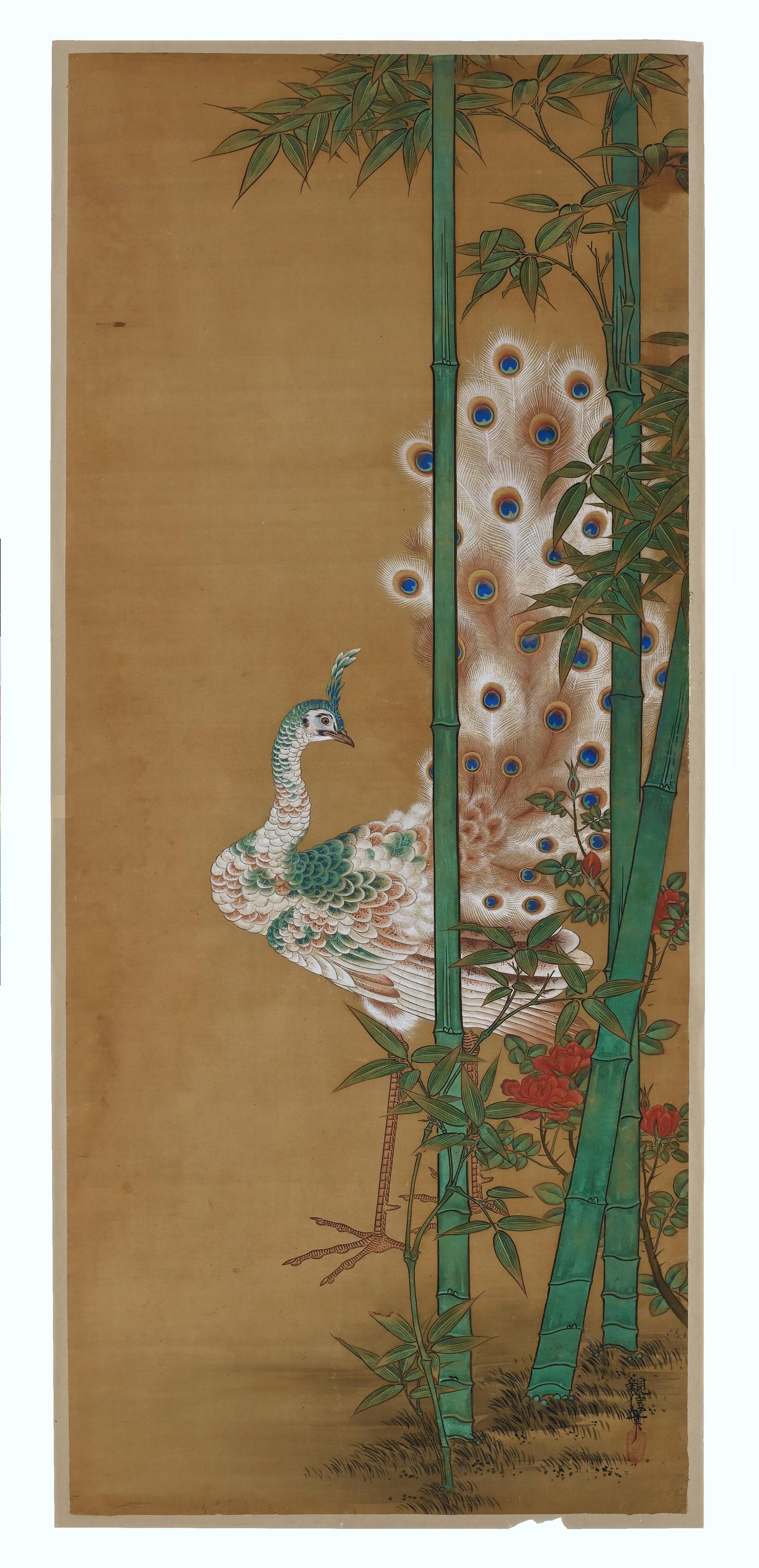Edo Peinture japonaise du 19ème siècle en soie de Kano Chikanobu, paon et bambou en vente