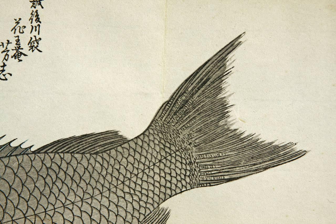 Ebonized 19th Century Japanese Woodblock Fish Print by Utagawa Hiroshige