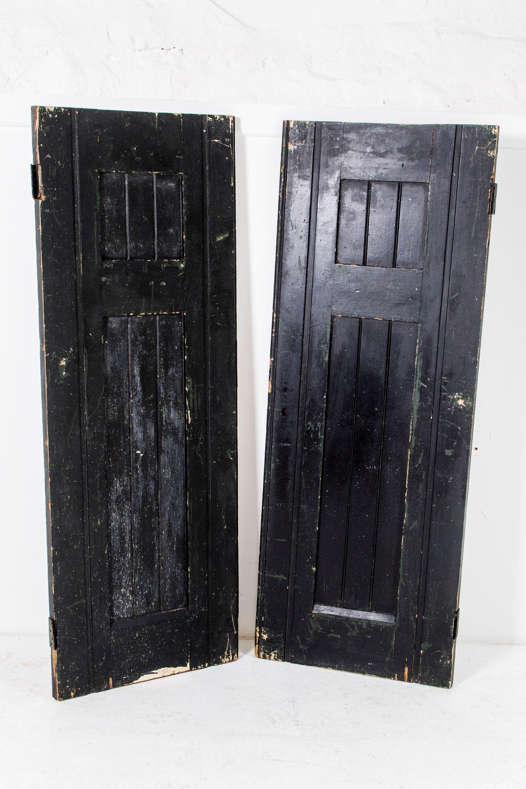 Hand-Painted 19th Century Japanned Panelled Ebonised Black Doors with Chinoiserie Decor