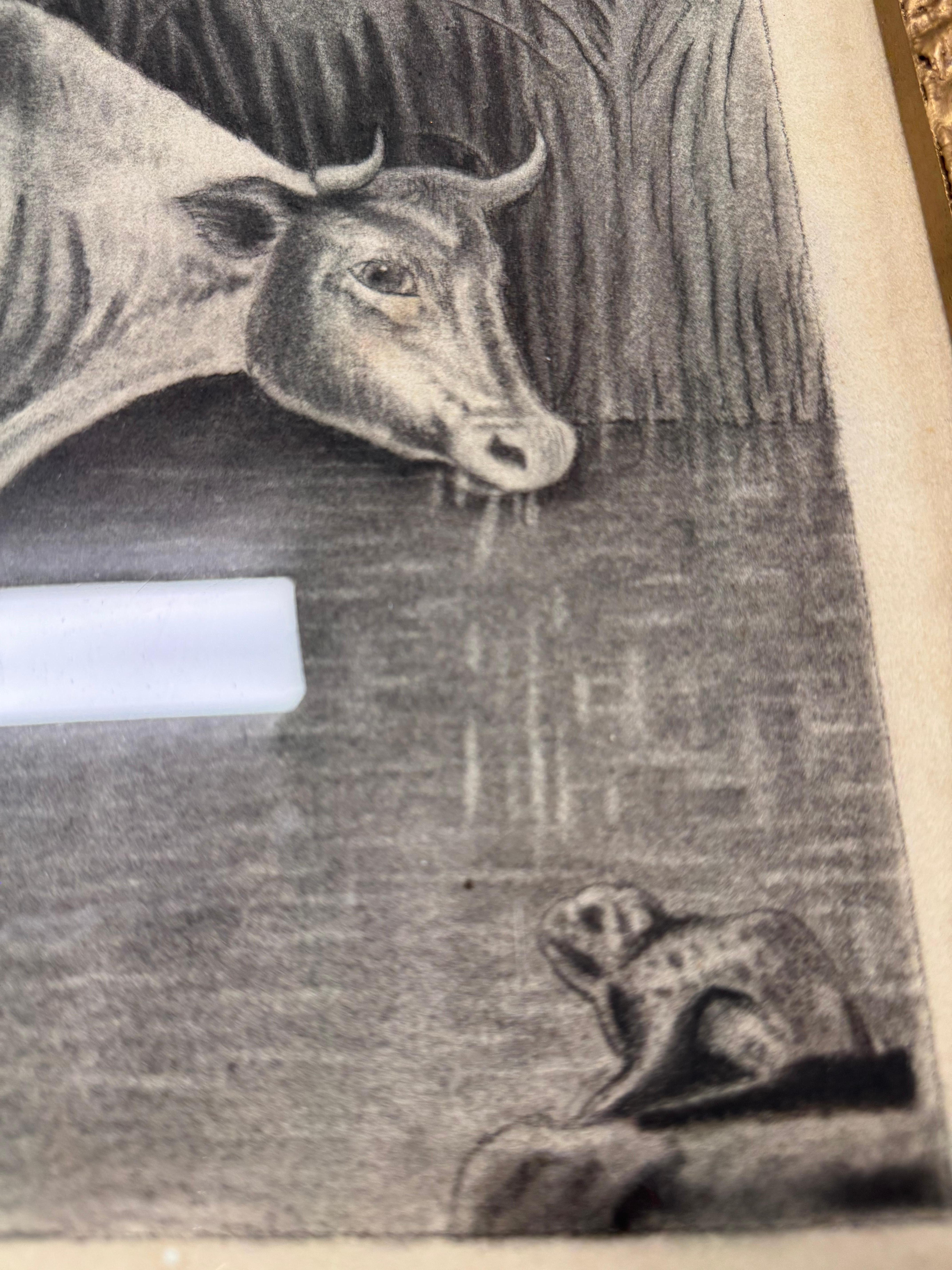 Paper 19th Century John Brightman-Crockett Cattle Grazing Pencil Drawing For Sale