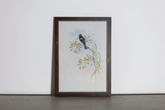 19th Century John Gould Bird Print - One of 24