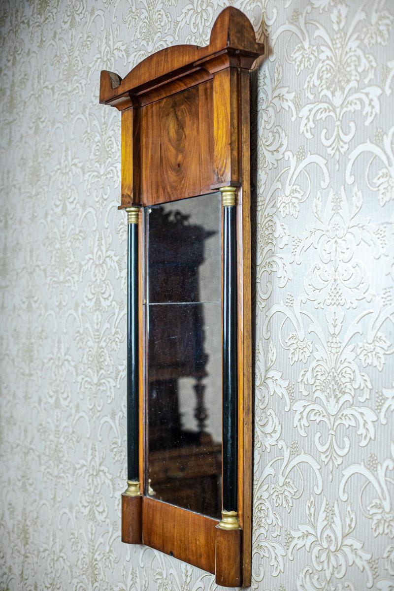 Veneer 19th Century Karl Johan Mirror