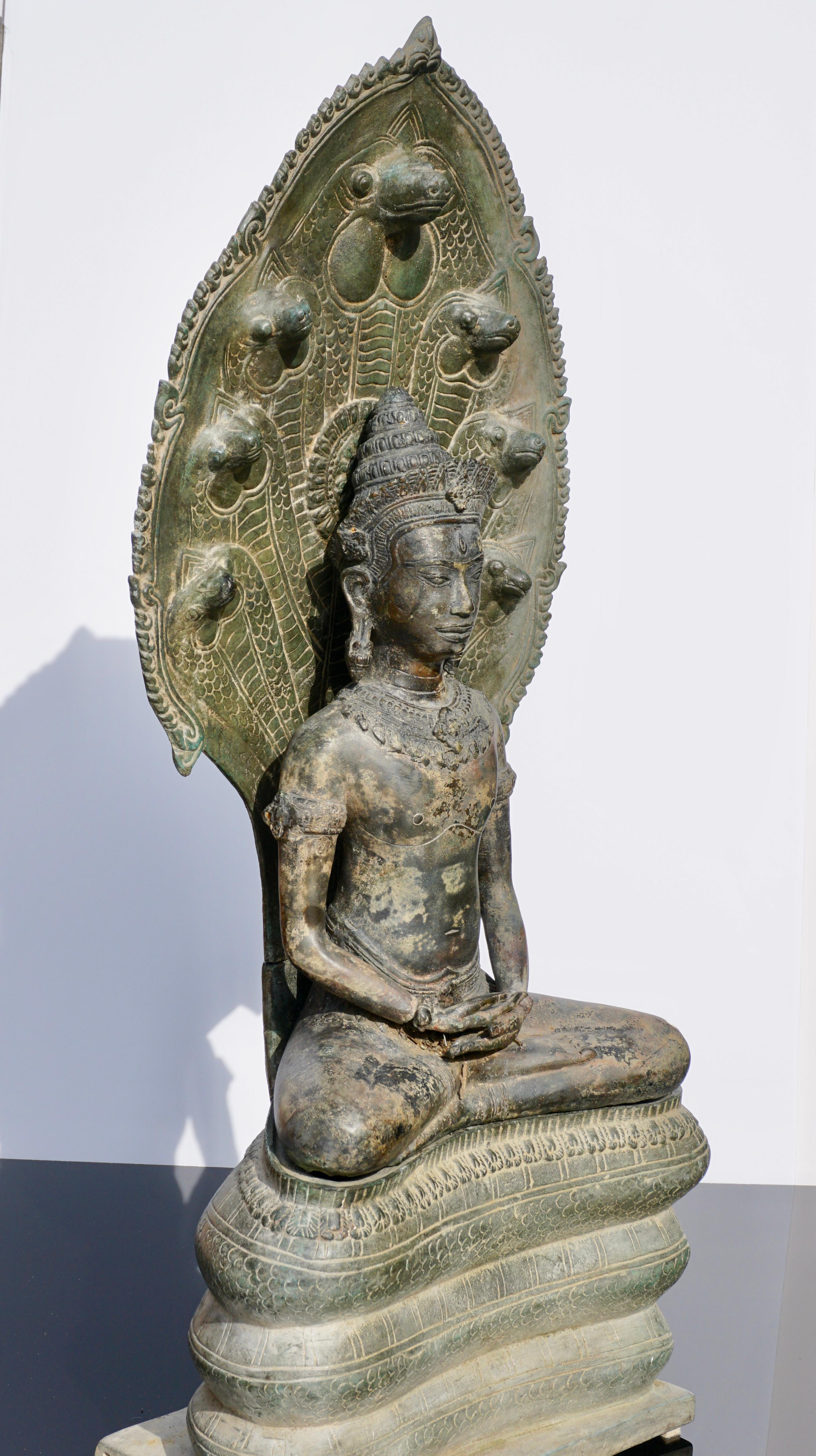 buddha with naga