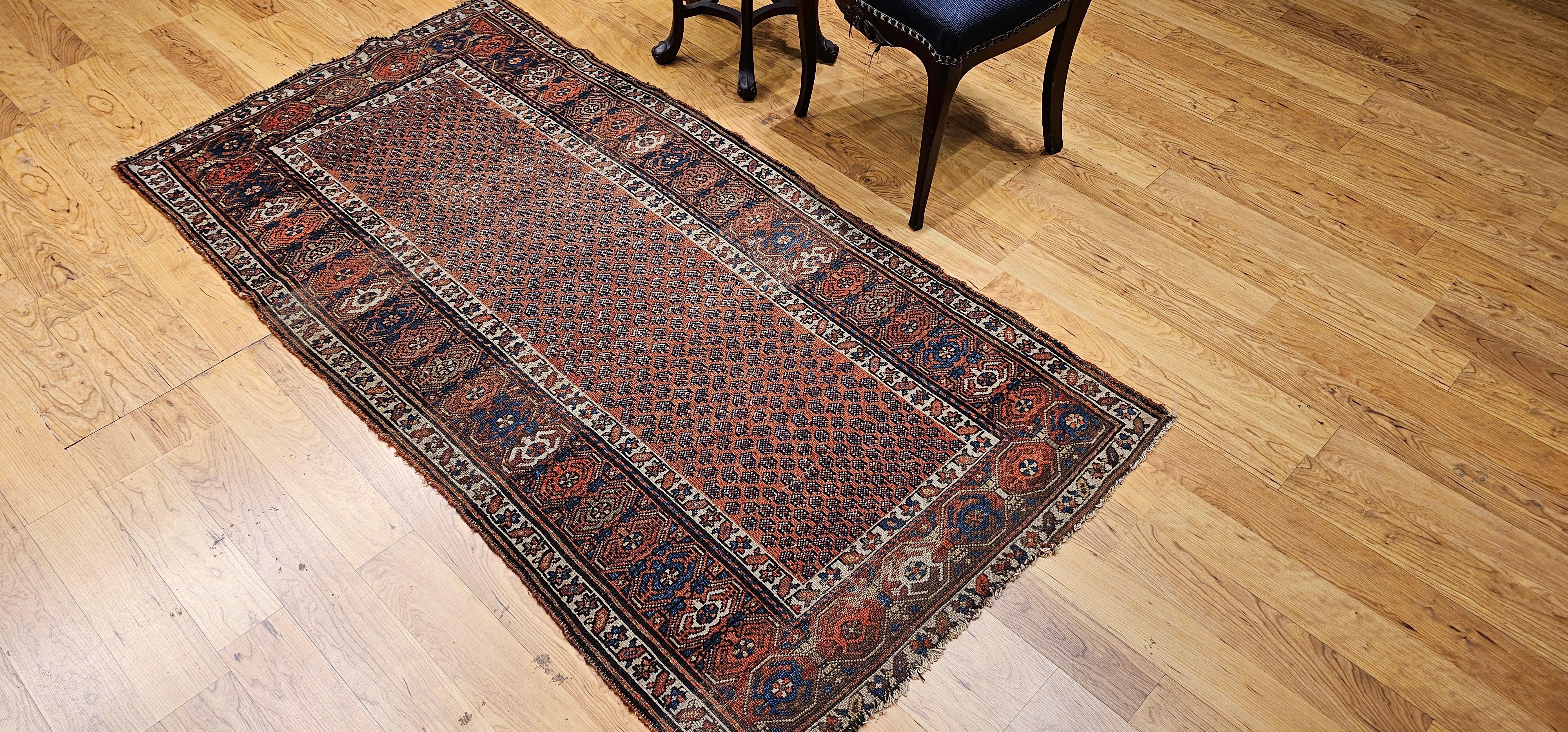 Tapis kurde du 19e siècle à motif de marguerite en vente 7