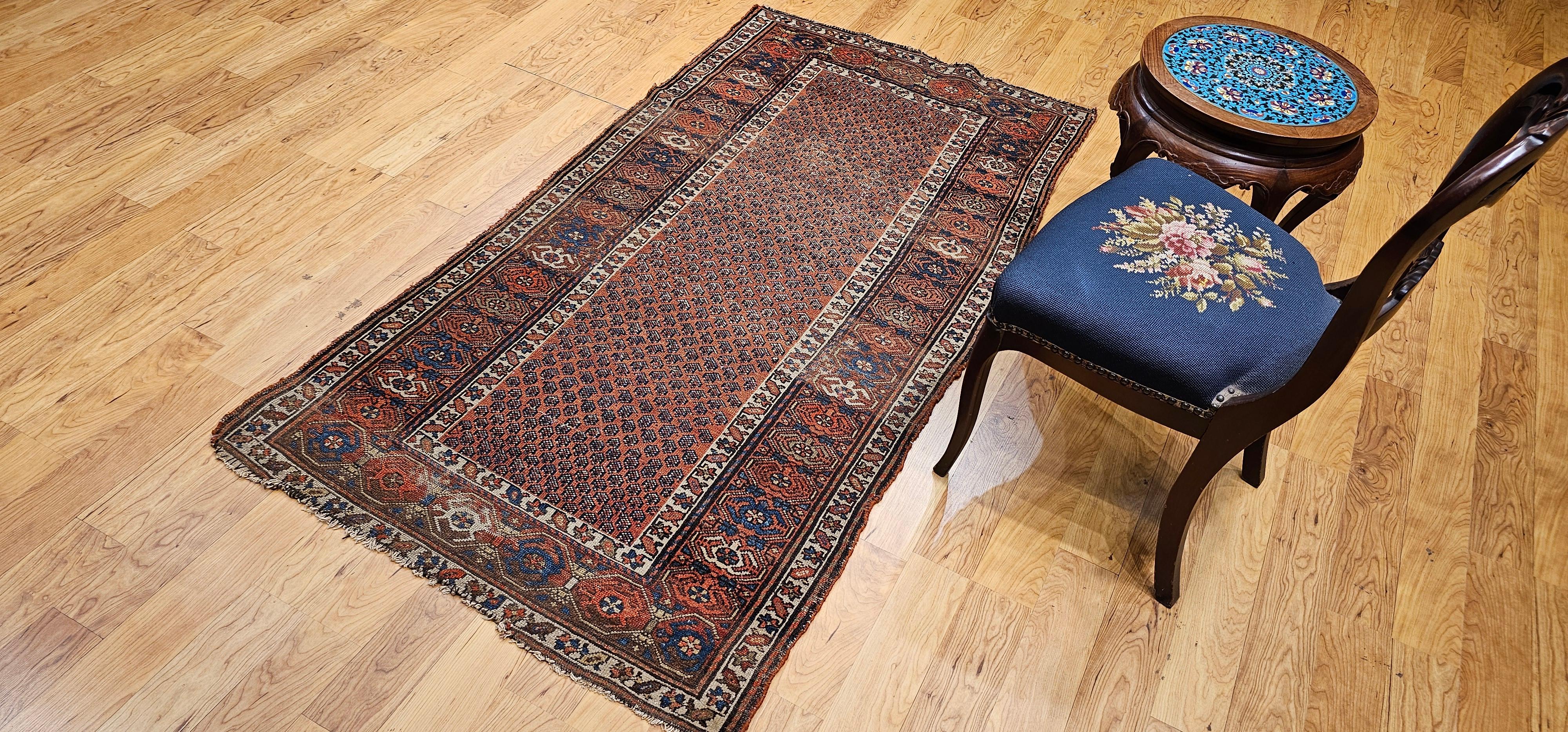 Tapis kurde du 19e siècle à motif de marguerite en vente 9