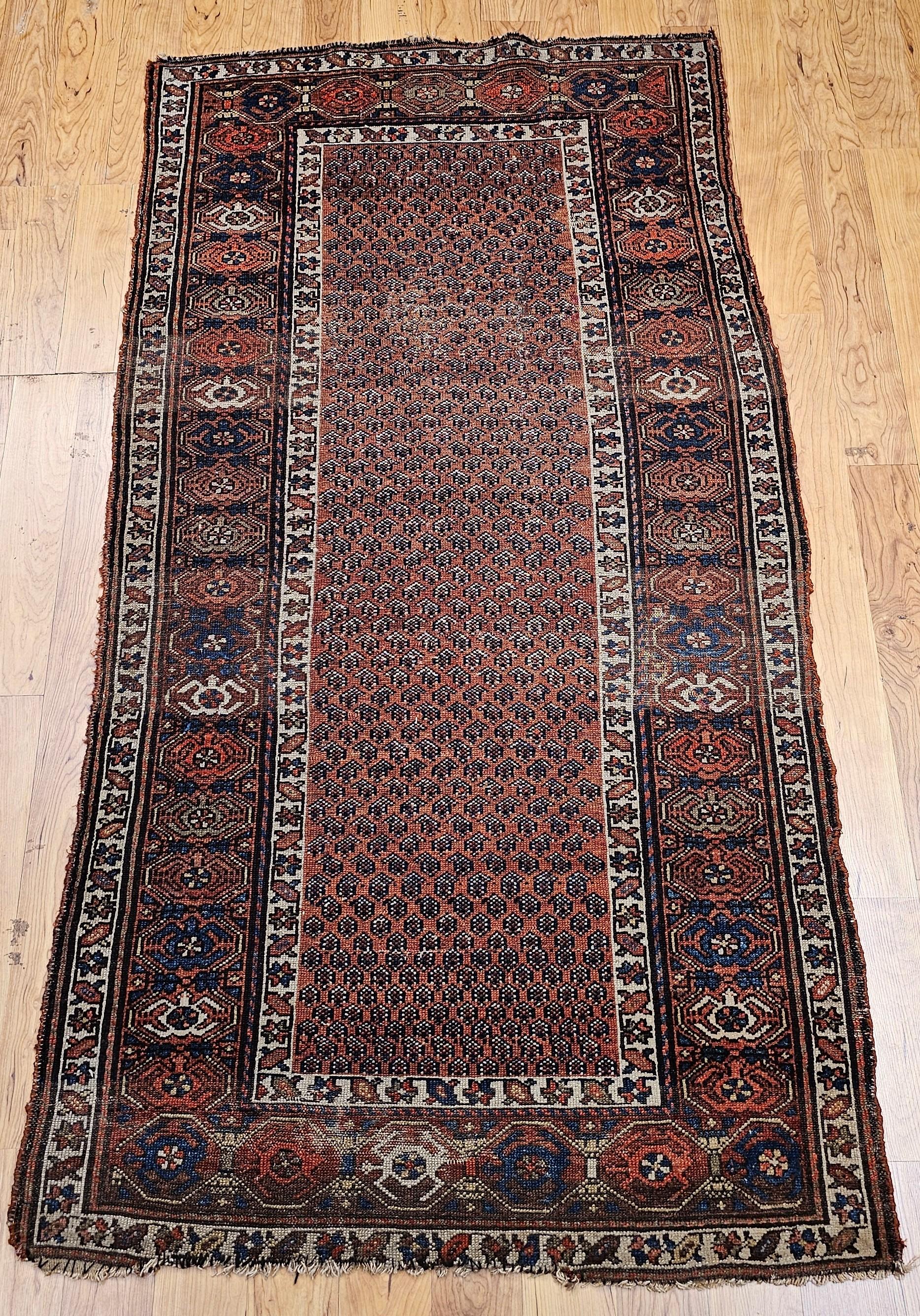 Charmant tapis kurde de la fin du XIXe siècle, noué à la main dans un motif allover basé sur une variation du motif paisley, qui crée un flux visuel continu et harmonieux sur toute la surface. Les motifs sont placés sur un riche fond rouge brique
