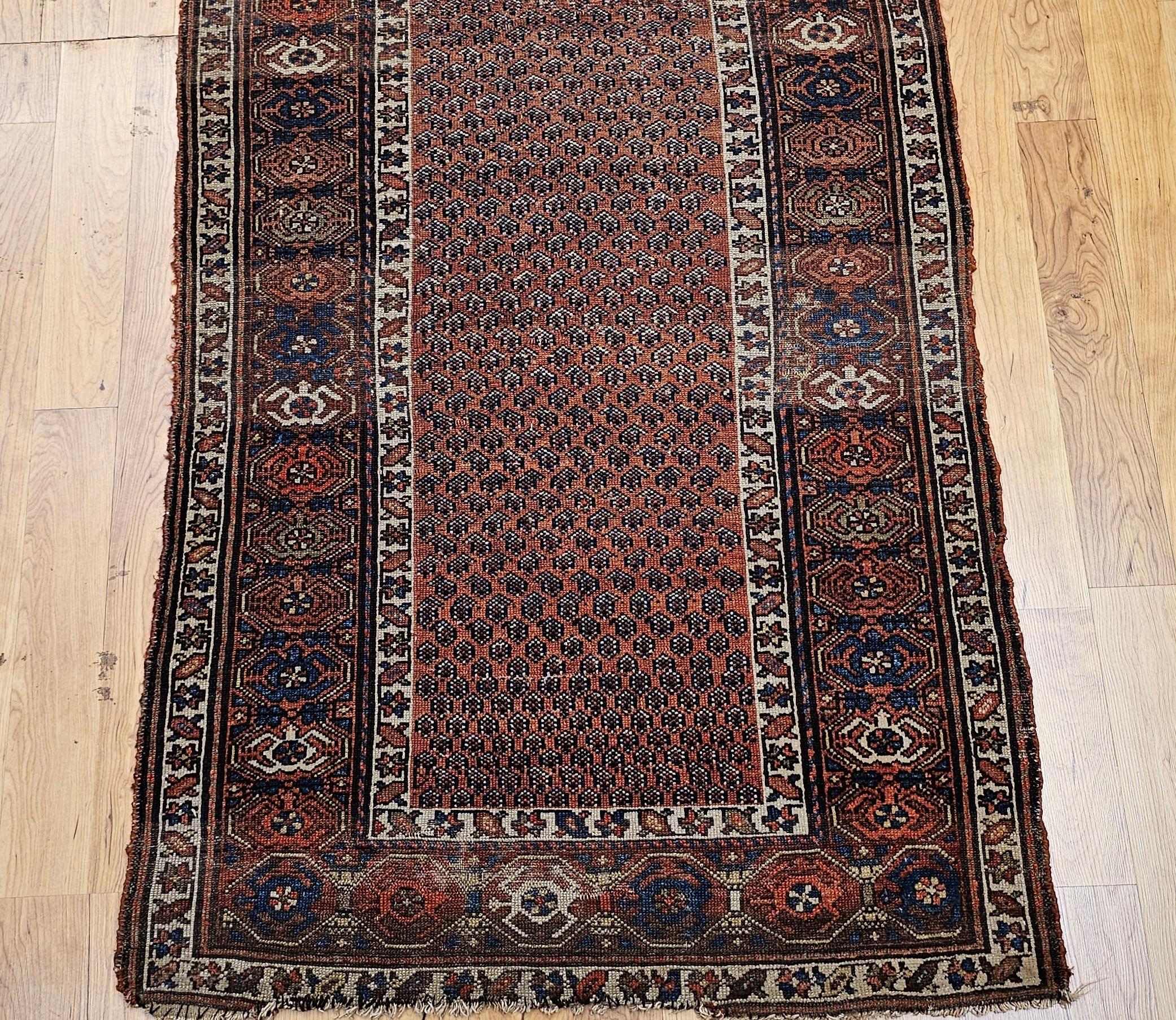 Perse Tapis kurde du 19e siècle à motif de marguerite en vente