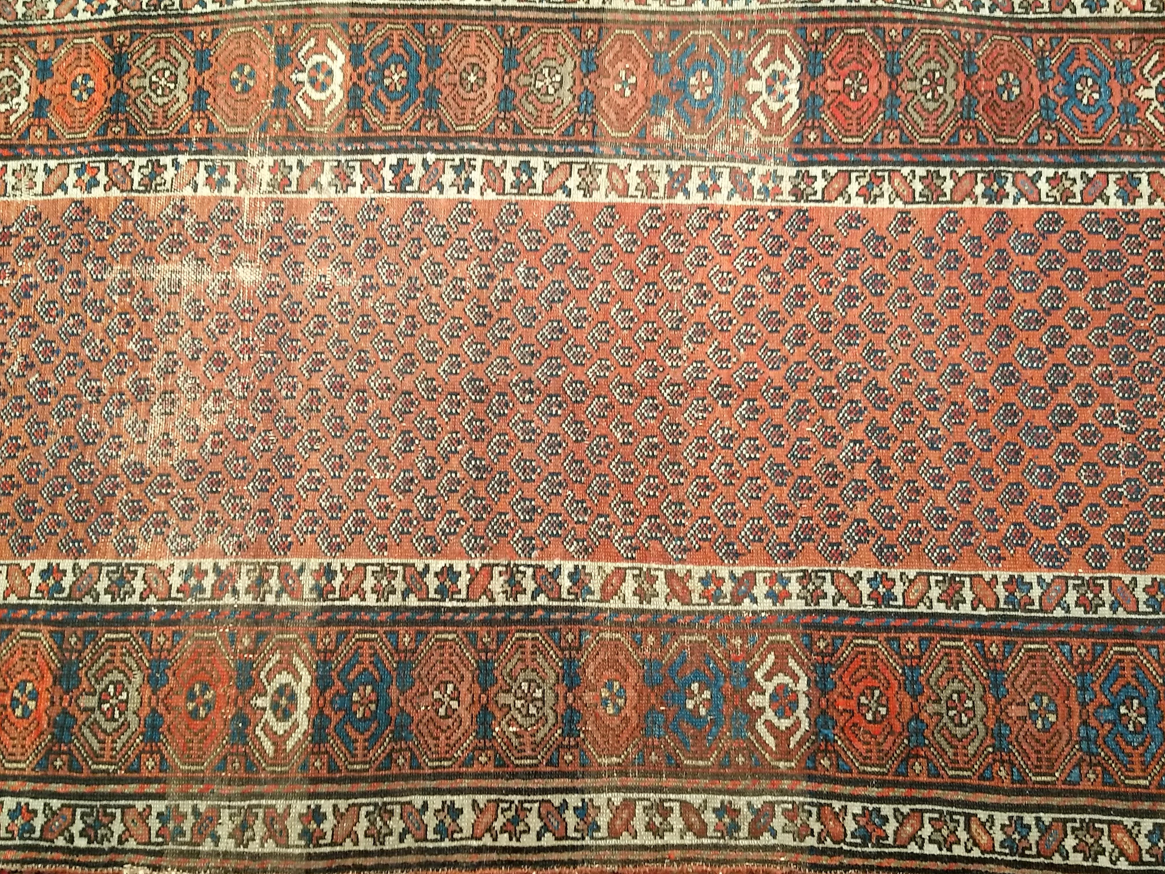 Laine Tapis kurde du 19e siècle à motif de marguerite en vente