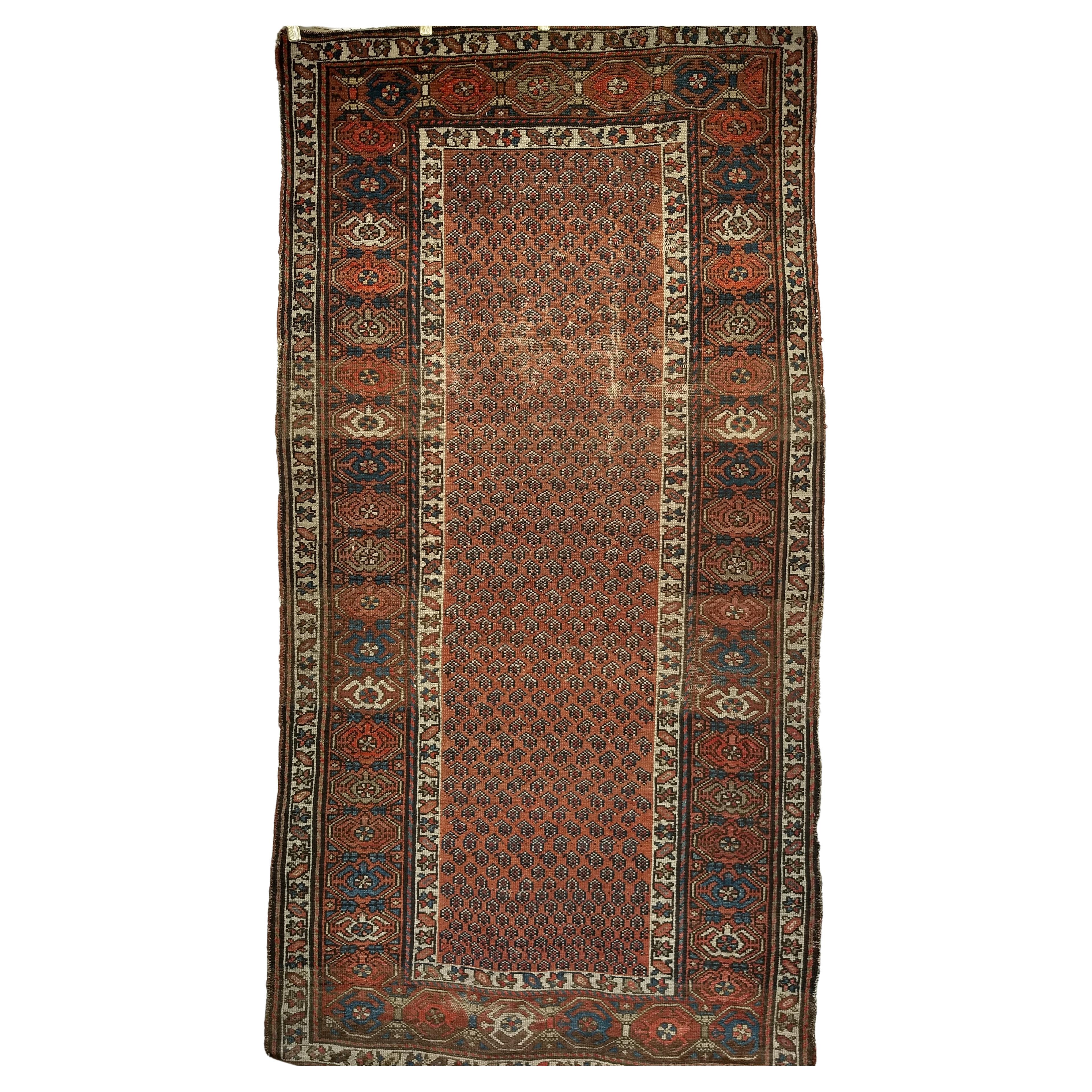 Tapis kurde du 19e siècle à motif de marguerite