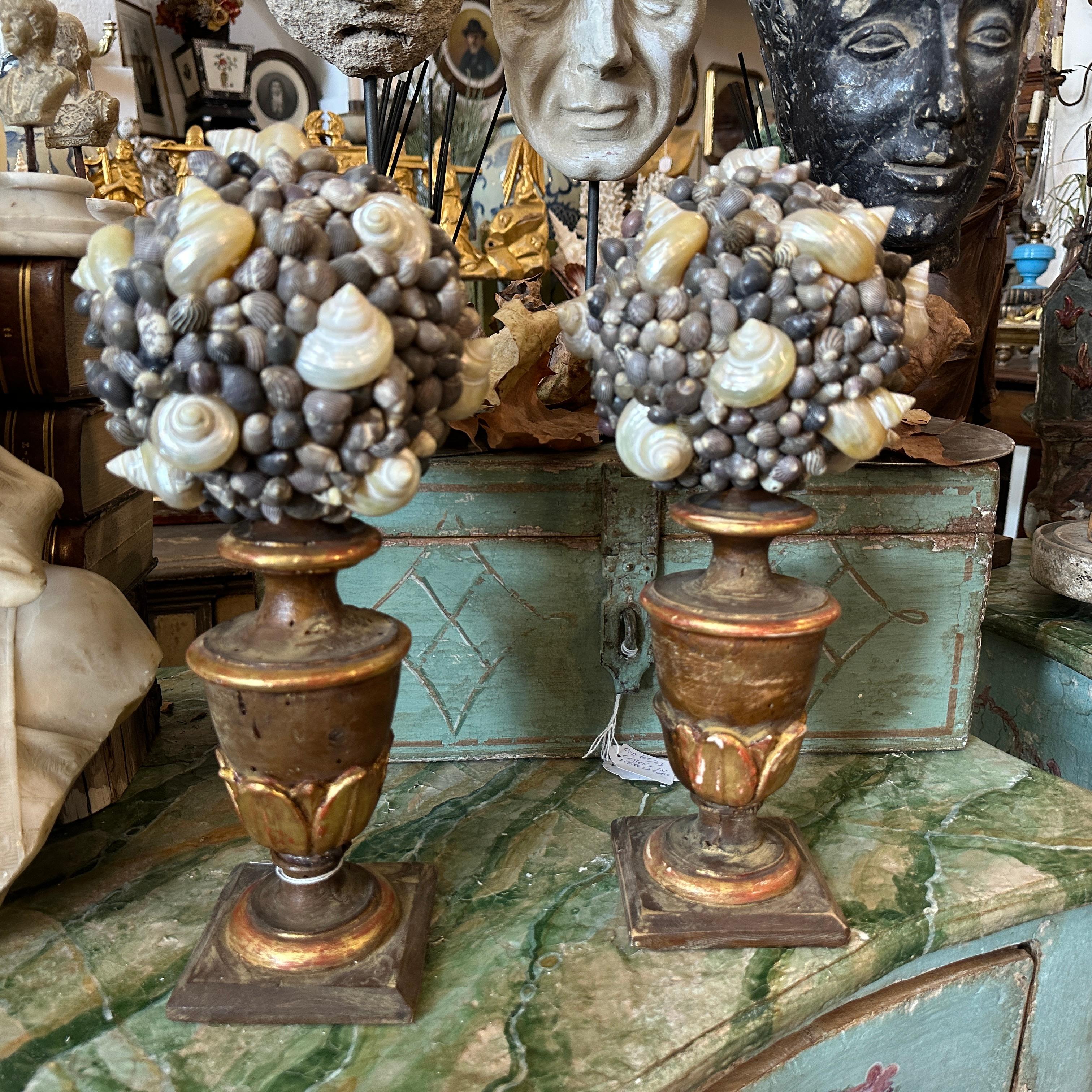 Two lacquered wood palm holders with a shell composition, handcrafted in Sicily in the late 19th century, are in original condition with signs of use and age. The palm holders were originally used to hold floral elements; these ones feature an