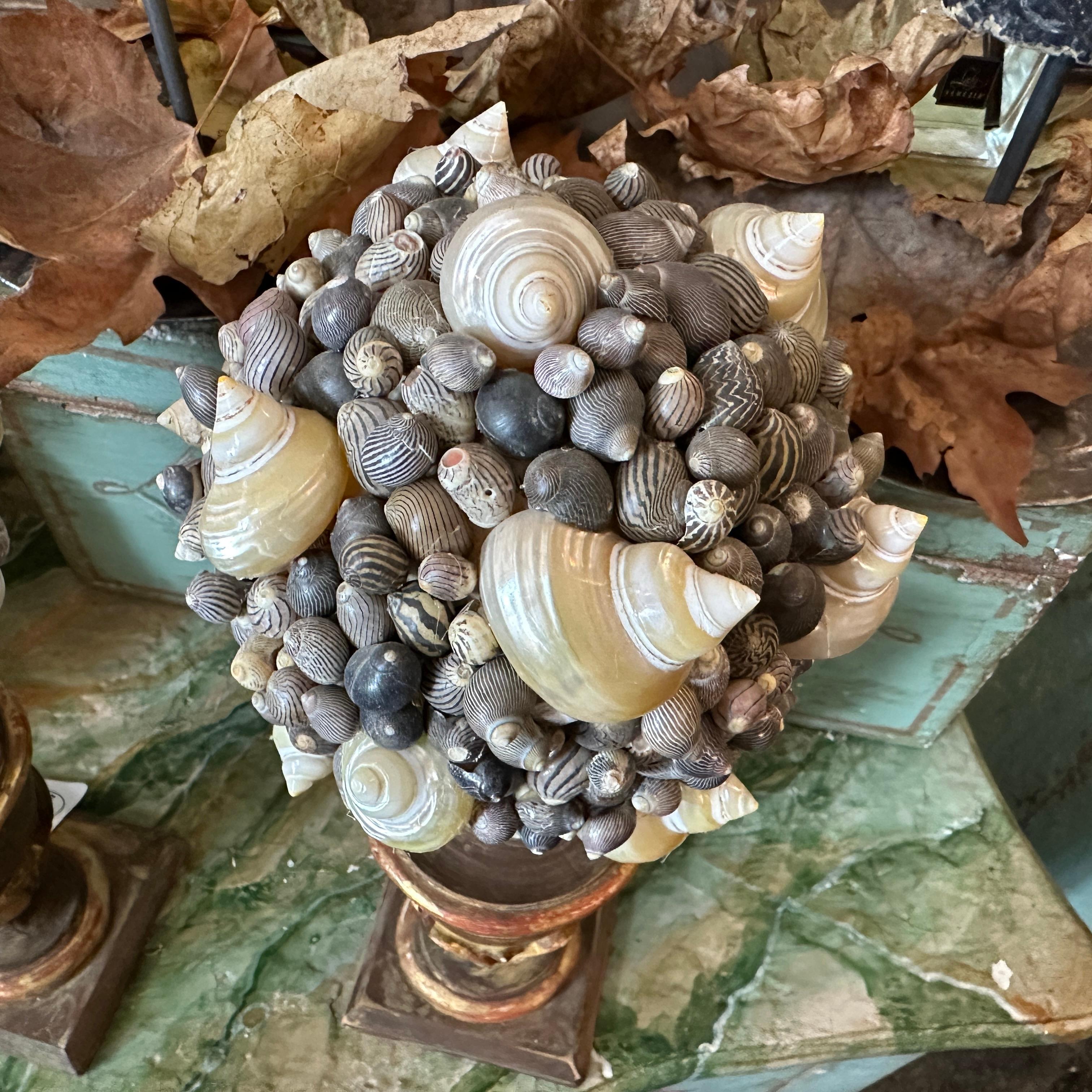 Portapalme siciliano in legno laccato del XIX secolo con composizione di conchiglie In condizioni buone in vendita a Catania, Sicilia