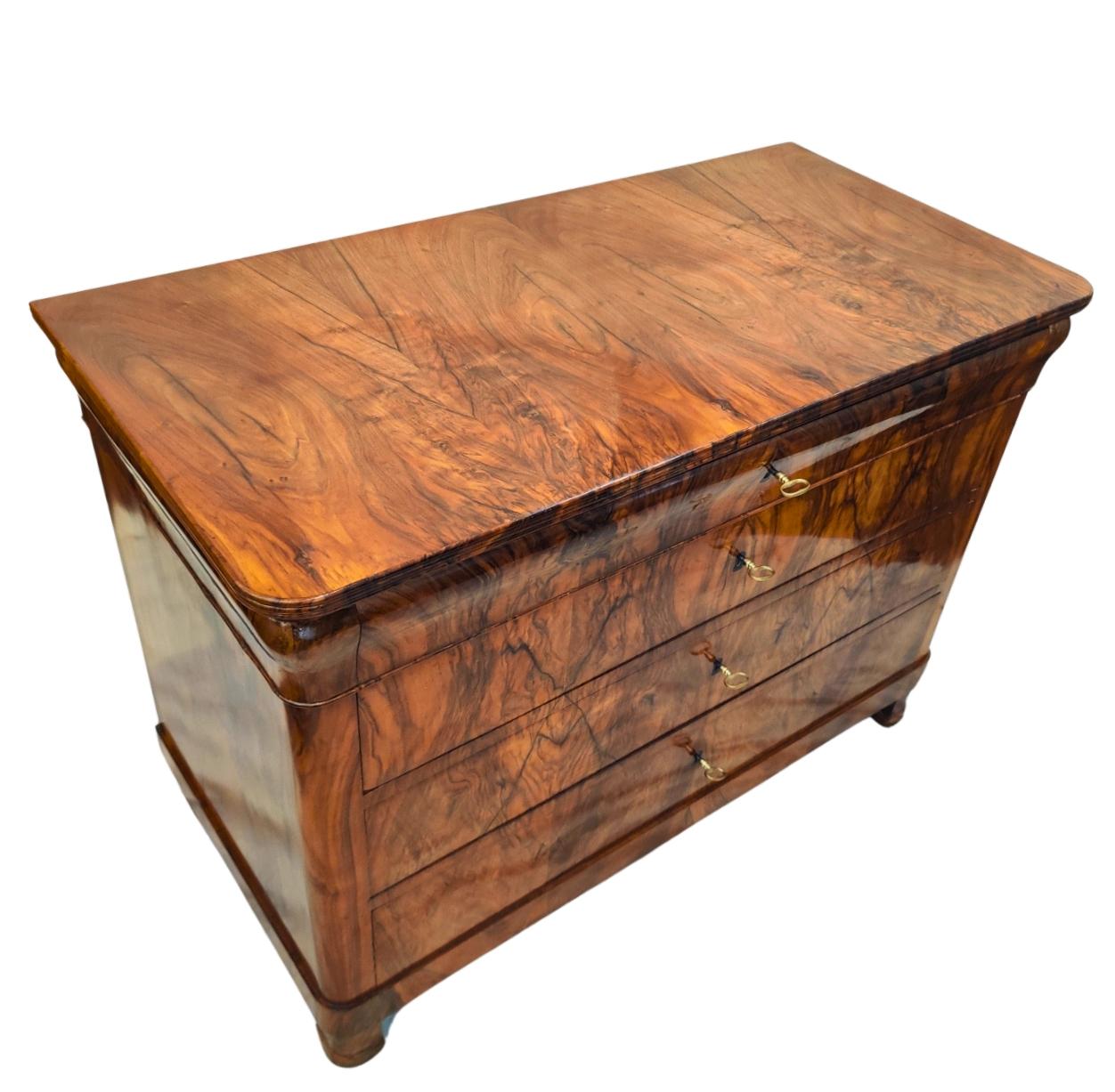 19th Century, Large 4-Drawer Walnut Biedermeier Chest of Drawers For Sale 1
