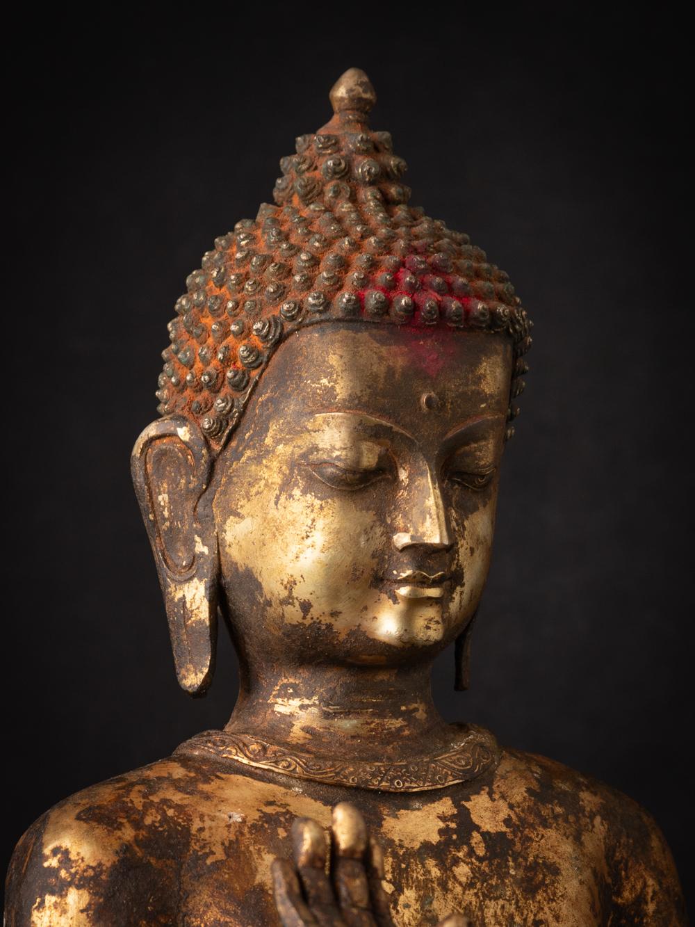 19th Century 19th century Large antique Nepali Buddha statue Abhaya mudra - Originalbuddhas For Sale