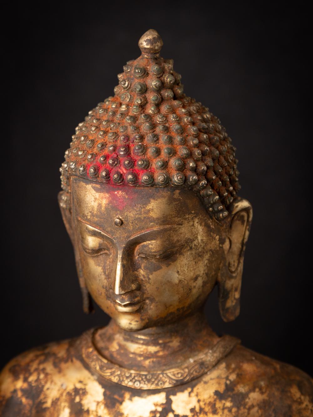 19th century Large antique Nepali Buddha statue Abhaya mudra - Originalbuddhas For Sale 1